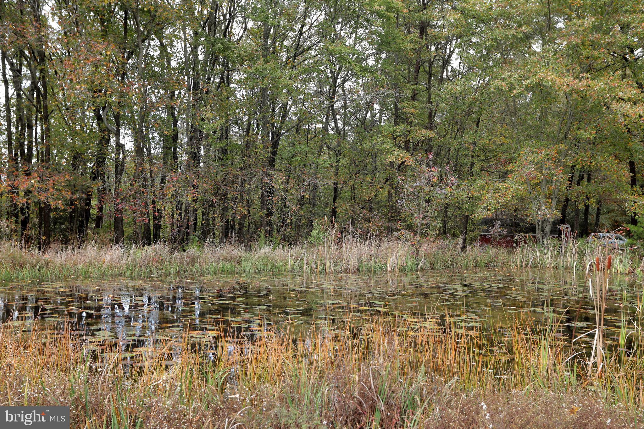 5065 Bicknell Road Marbury, MD 20658 - Photo 103 of 105 Frog Hill Pond