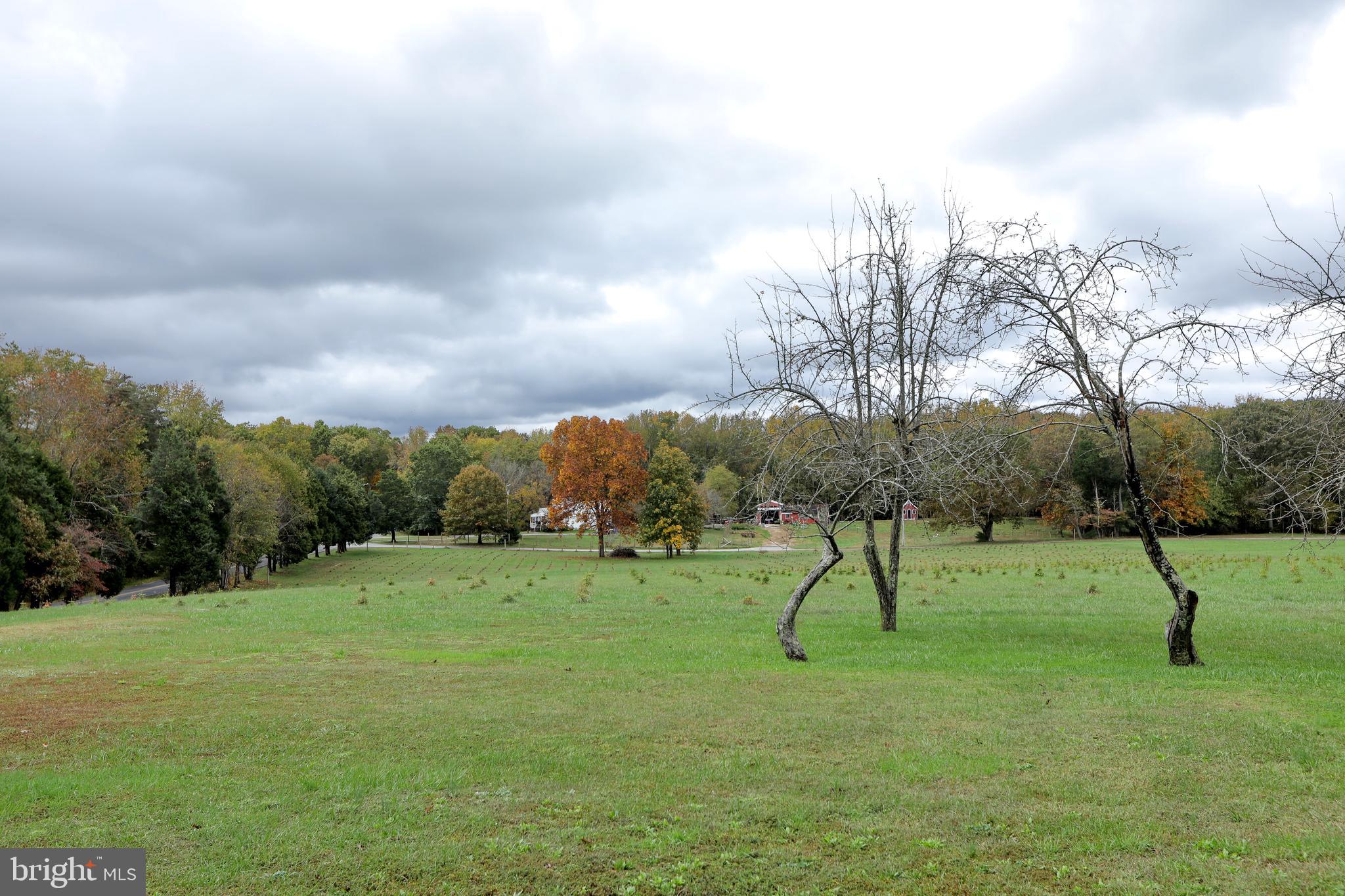 5065 Bicknell Road Marbury, MD 20658 - Photo 95 of 105 Gallery Image 95