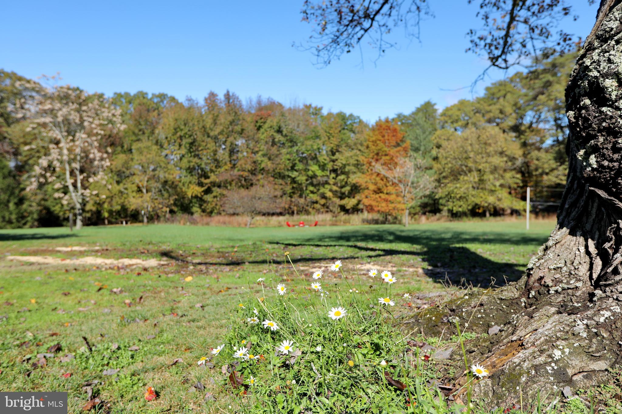 5065 Bicknell Road Marbury, MD 20658 - Photo 98 of 105 Gallery Image 98