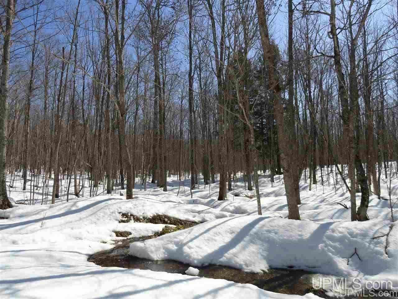 240-acres Leek Road Covington, MI 49919 - Photo 10 of 50