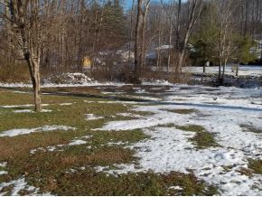 rear yard
