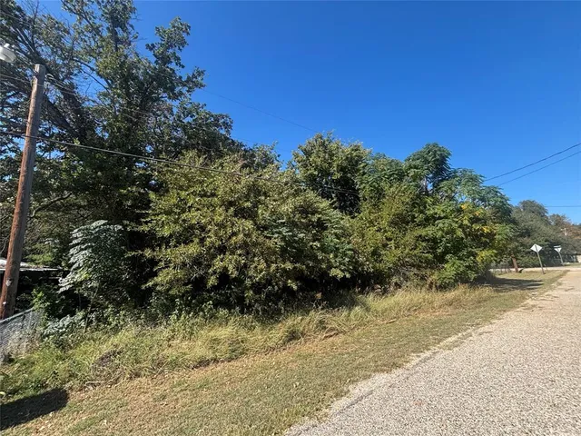 a view of a yard with plants and a trees