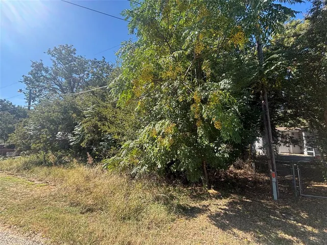 a view of a forest filled with trees