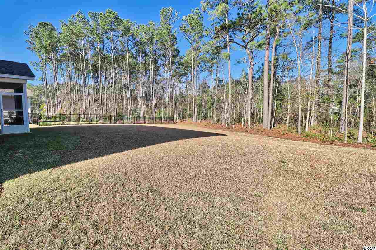 352 Hyacinth Loop Murrells Inlet, SC 29576 - Photo 12 of 32 Gallery Image 12