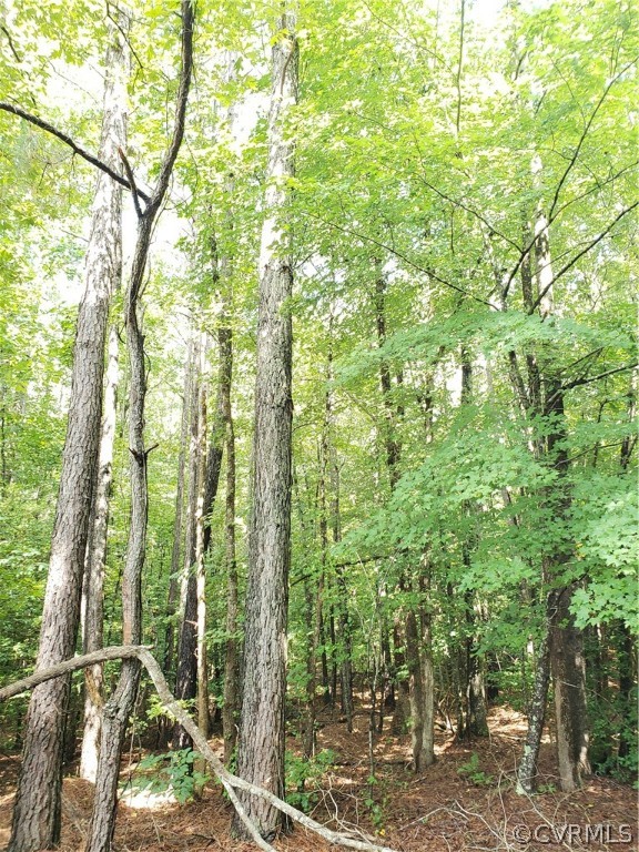 0 Mt Pleasant Road Lanexa, VA 23089 - Photo 2 of 4 Gallery Image 2