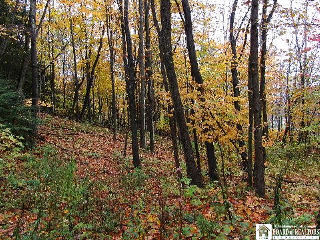 Gulf Road Randolph, NY 14772 - Photo 1 of 1