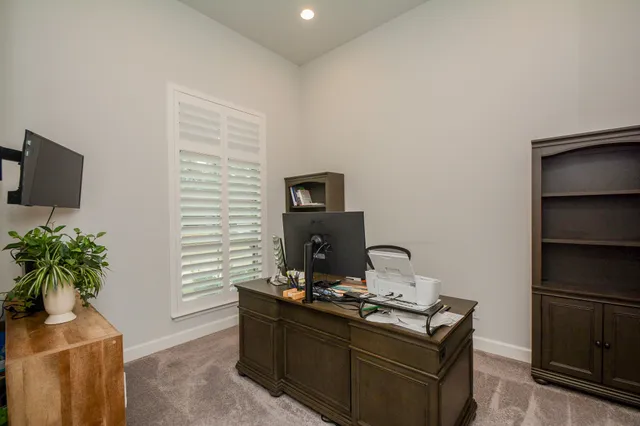 a room with furniture and potted plants