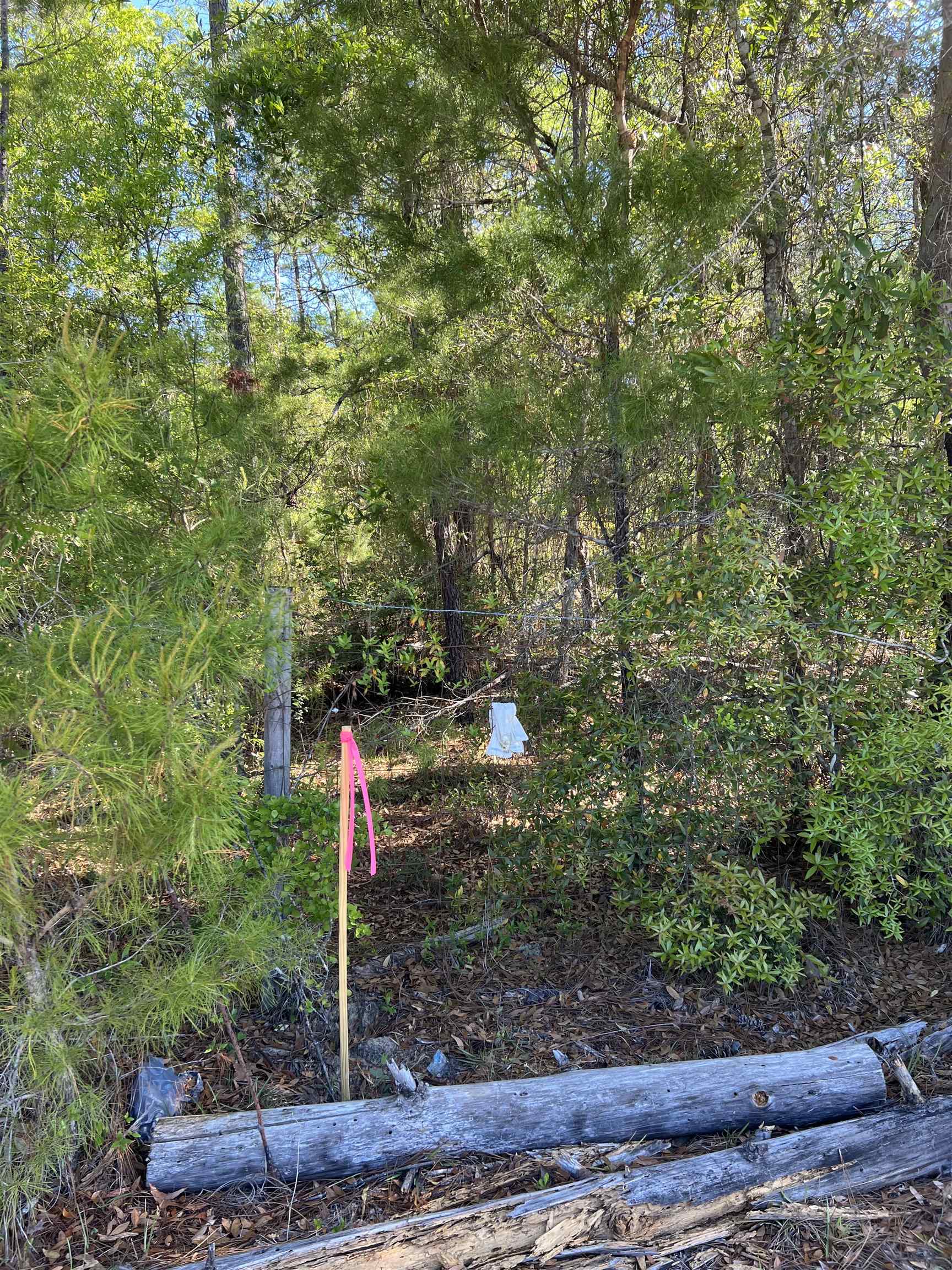 Xx Old Federal Road Quincy, FL 32351 - Photo 9 of 11