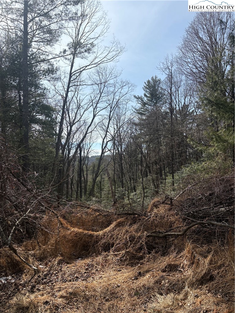 Hollyknoll Road, Unit 49 & 50 Glade Valley, NC 28627 - Photo 6 of 9