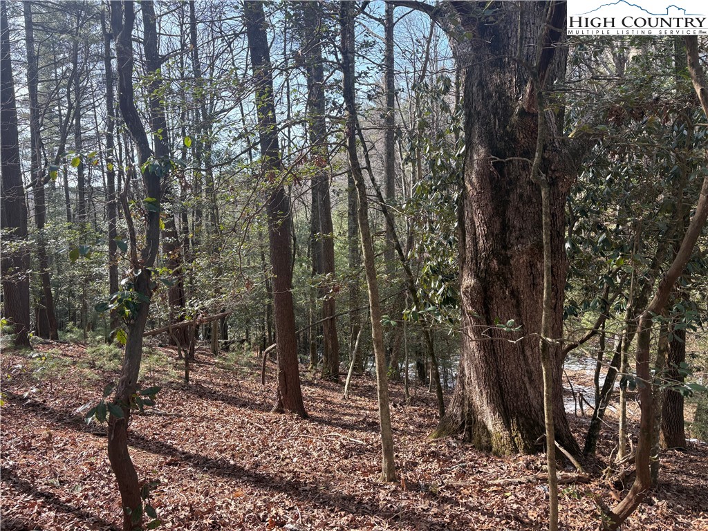 Hollyknoll Road, Unit 49 & 50 Glade Valley, NC 28627 - Photo 7 of 9