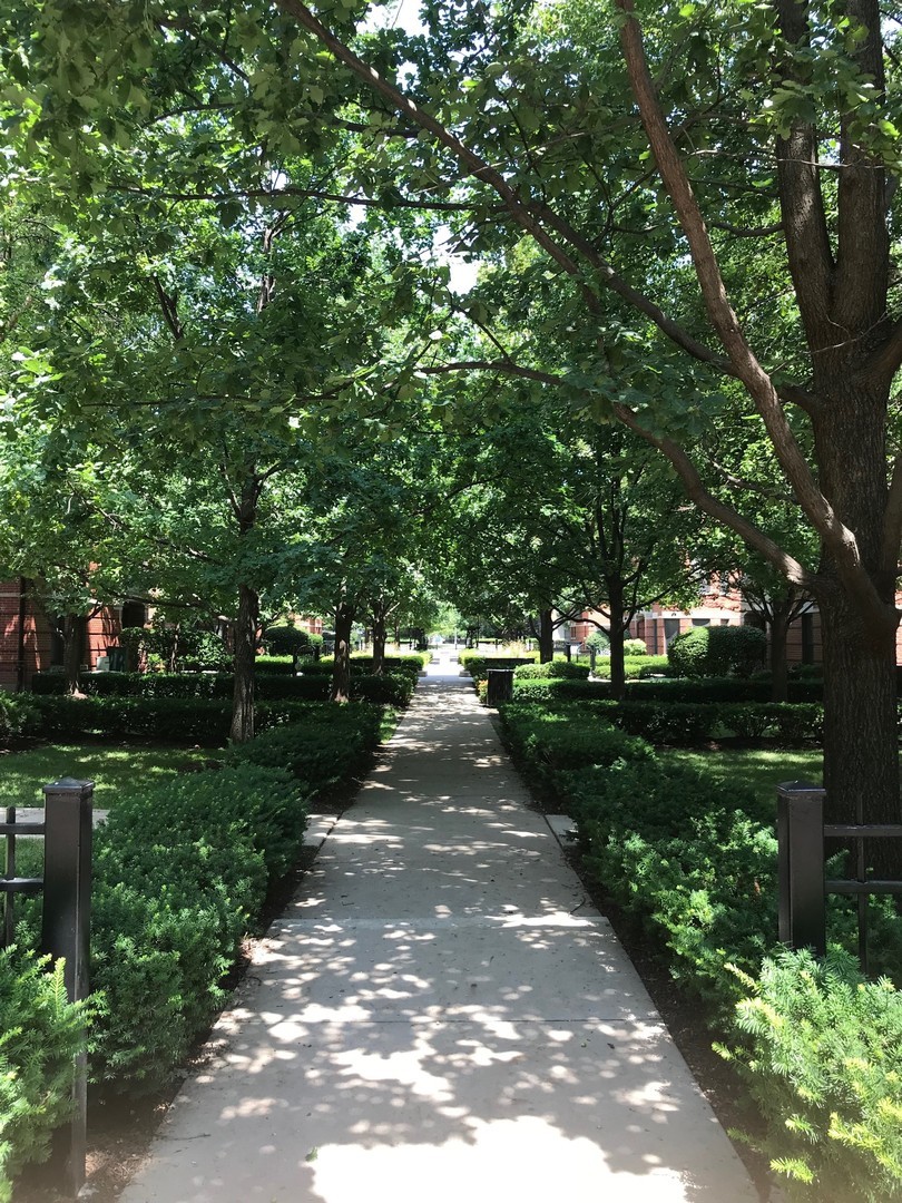 802 West University Lane, Unit 2B Chicago, IL 60608 - Photo 13 of 17 a view of park with trees