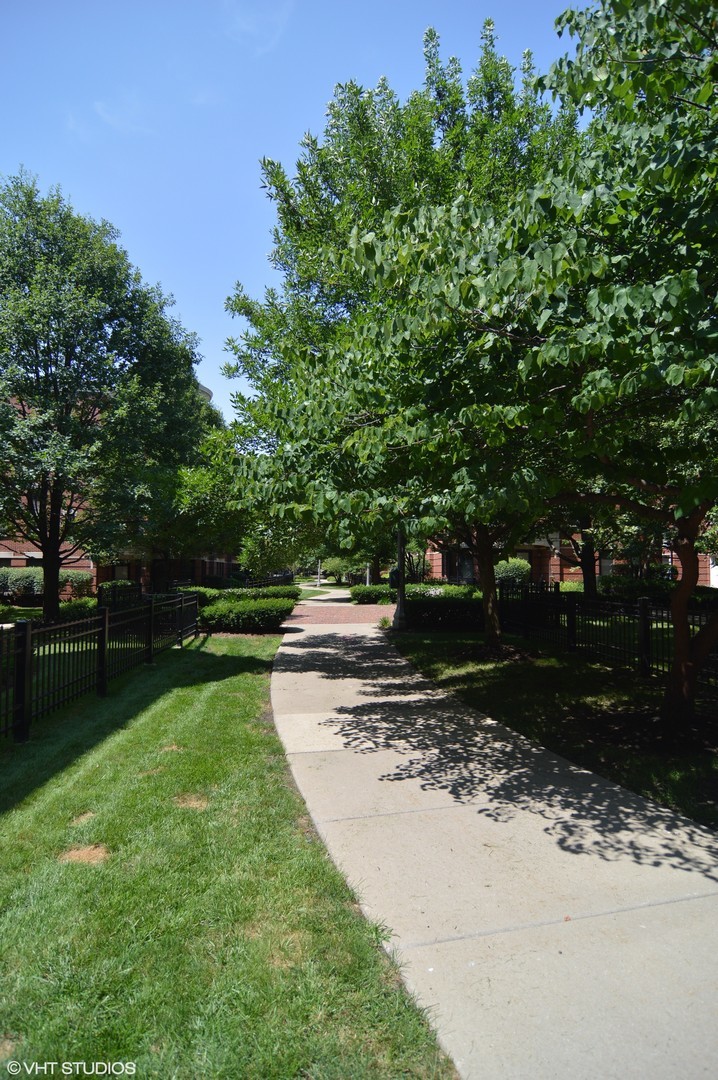 802 West University Lane, Unit 2B Chicago, IL 60608 - Photo 15 of 17 a view of backyard with green space