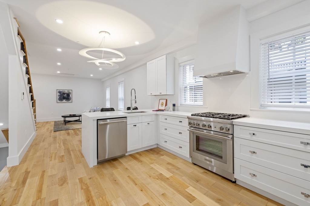 133 Spring Street, Unit 2 Cambridge, MA 02141 - Photo 3 of 40 Gallery Image 3