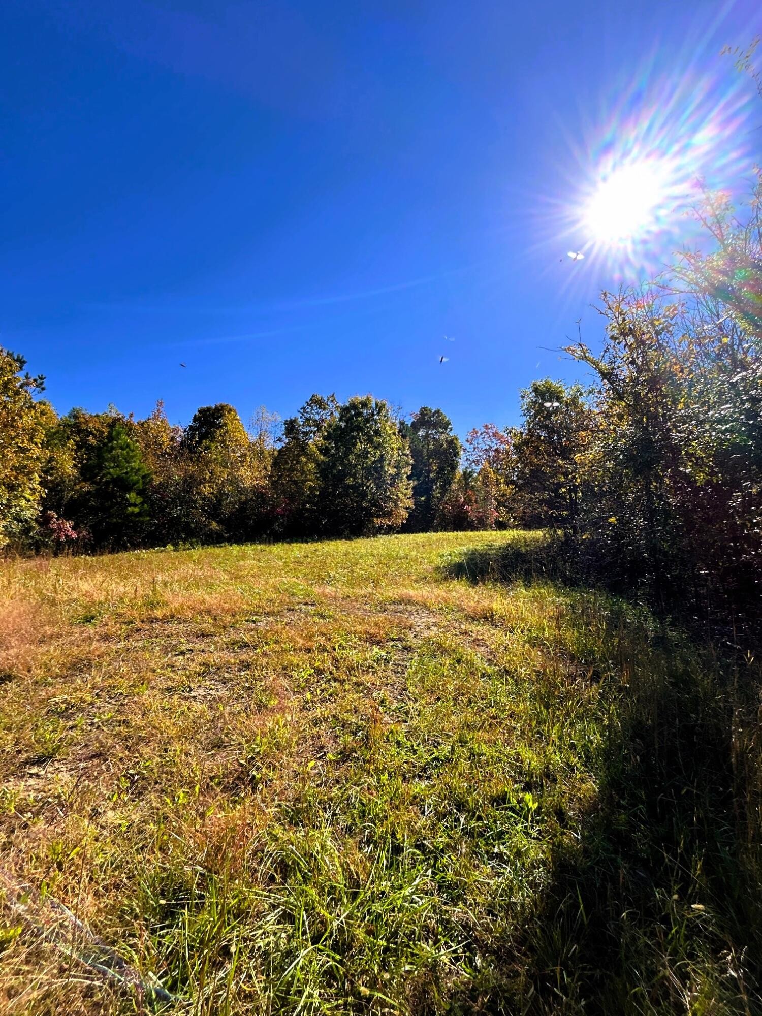 0 Charles Road Decatur, TN 37322 - Photo 14 of 61 a view of an ocean