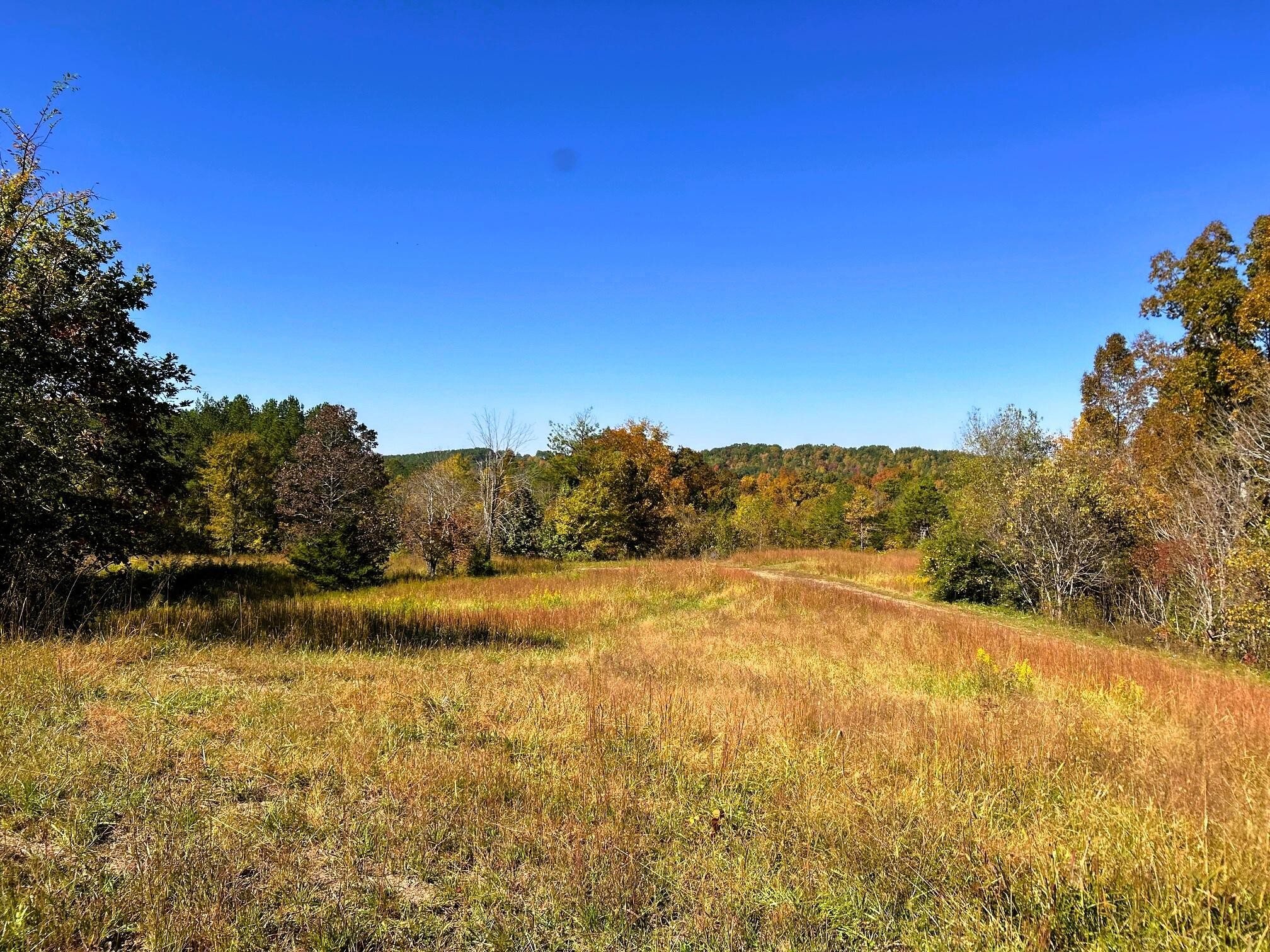 0 Charles Road Decatur, TN 37322 - Photo 15 of 61 a view of lake view and mountain