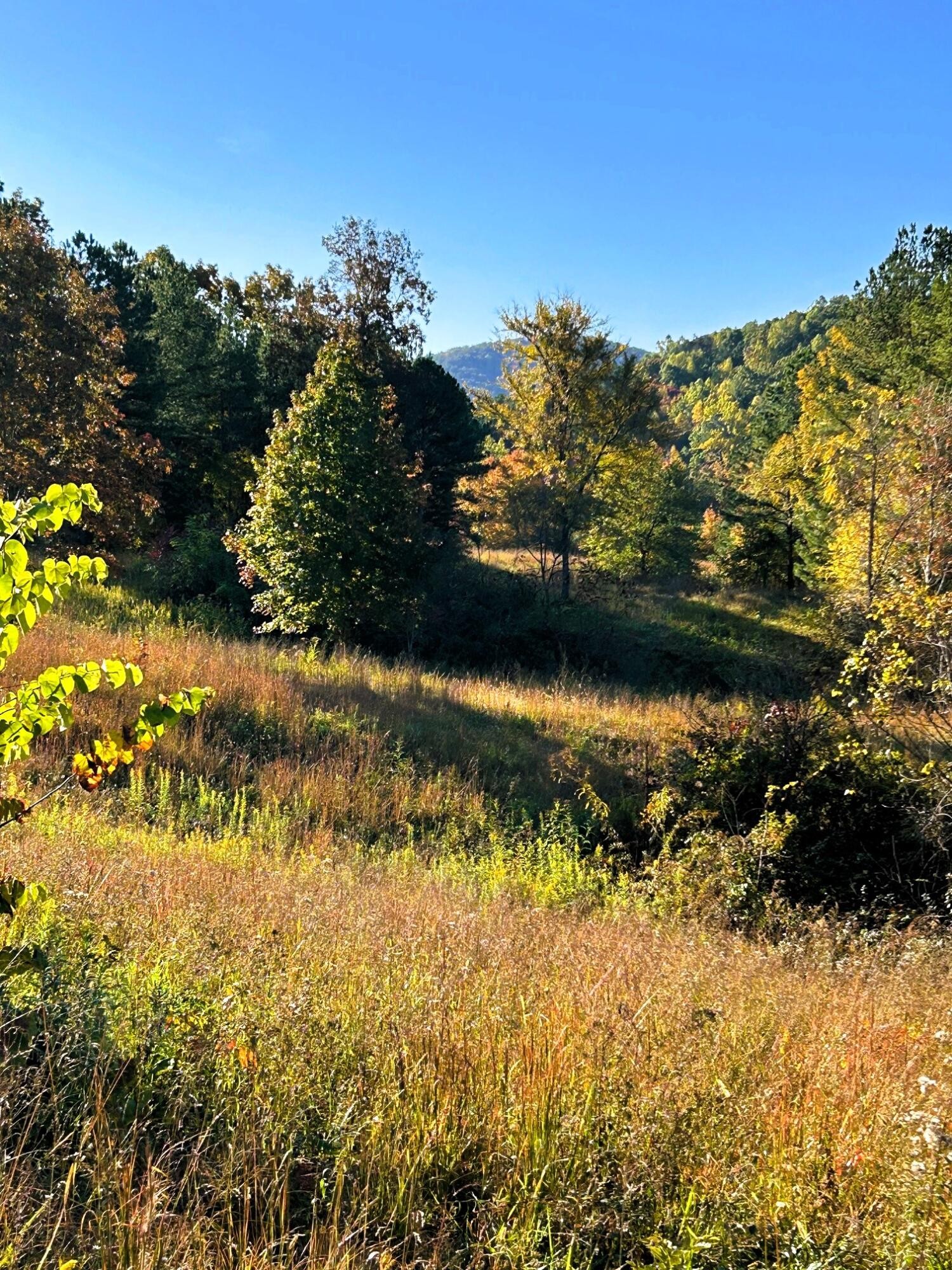 0 Charles Road Decatur, TN 37322 - Photo 18 of 61 a view of a lake
