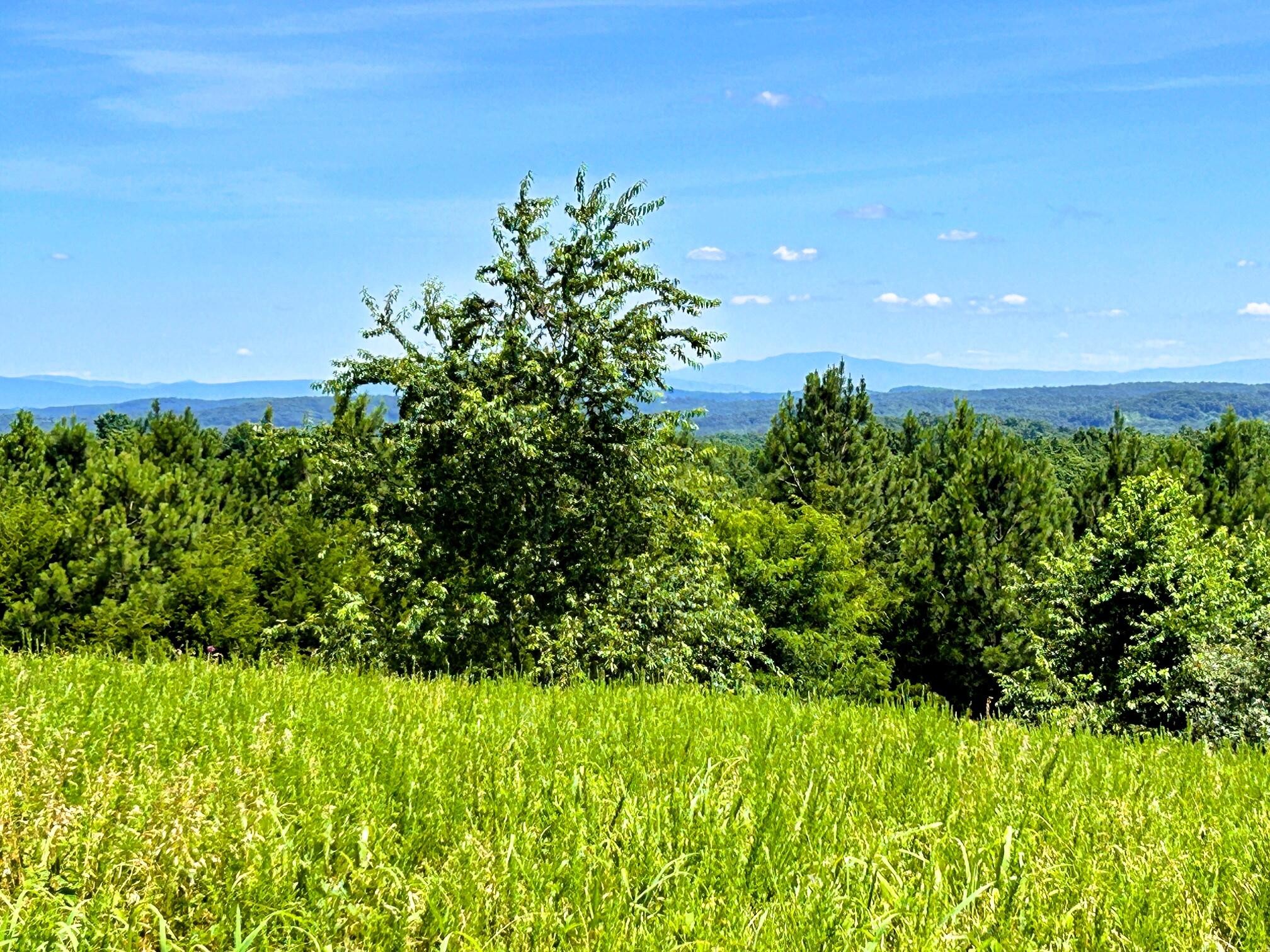 0 Charles Road Decatur, TN 37322 - Photo 2 of 61 a view of a garden