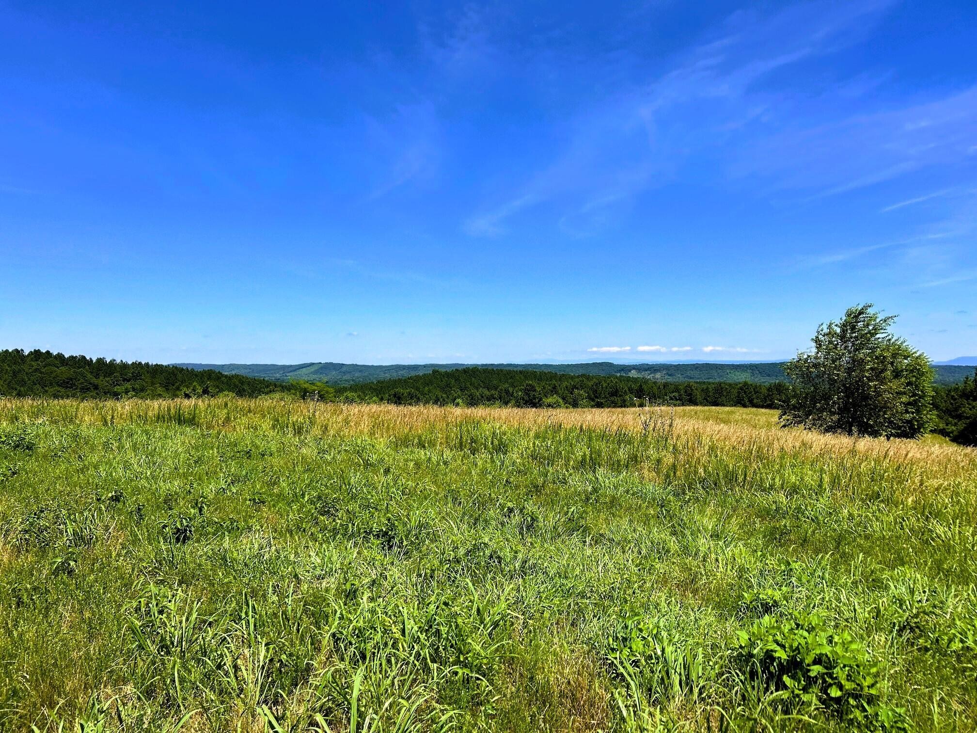 0 Charles Road Decatur, TN 37322 - Photo 33 of 61 a view of an ocean