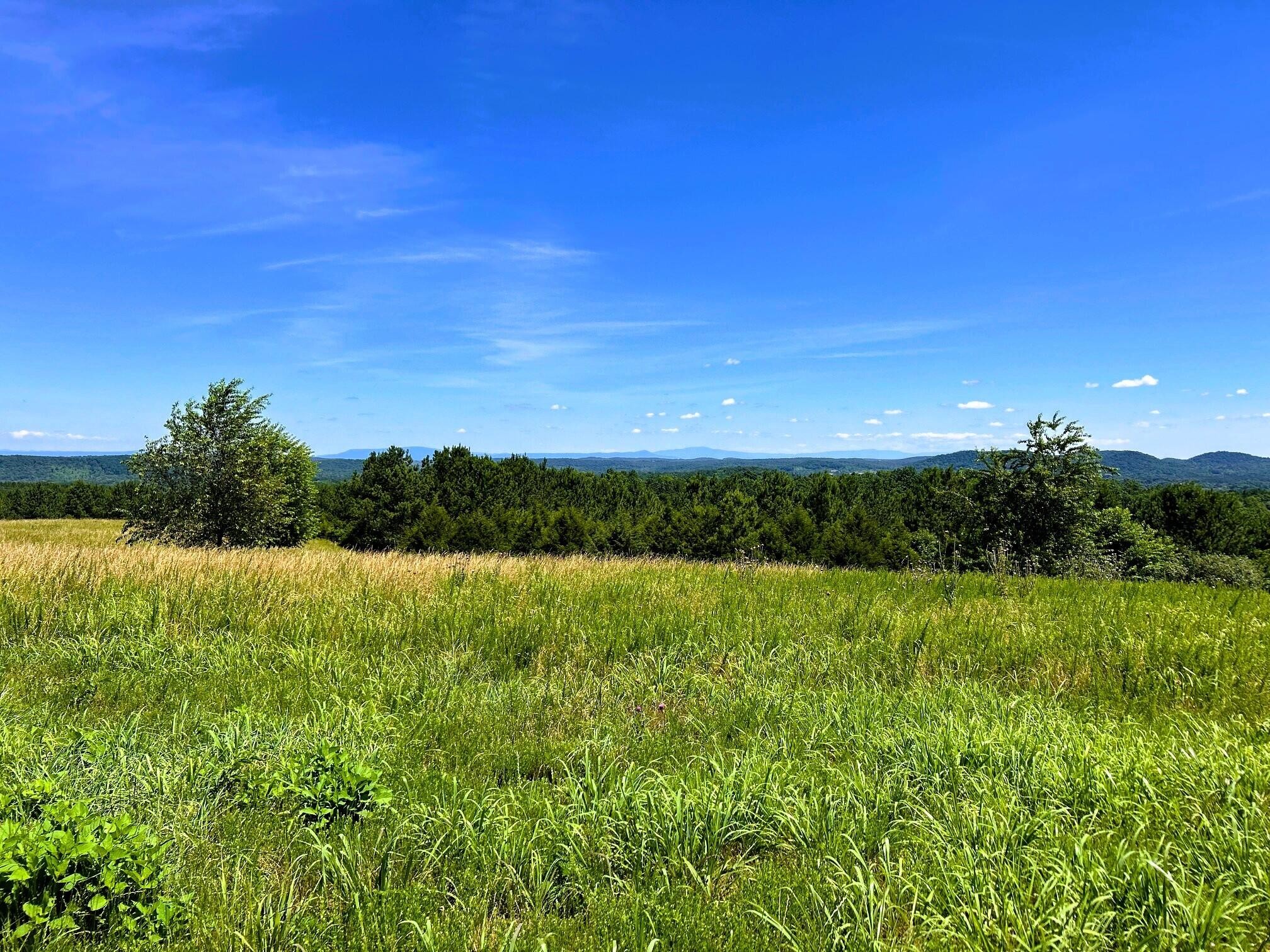 0 Charles Road Decatur, TN 37322 - Photo 34 of 61 a view of an ocean and a mountain
