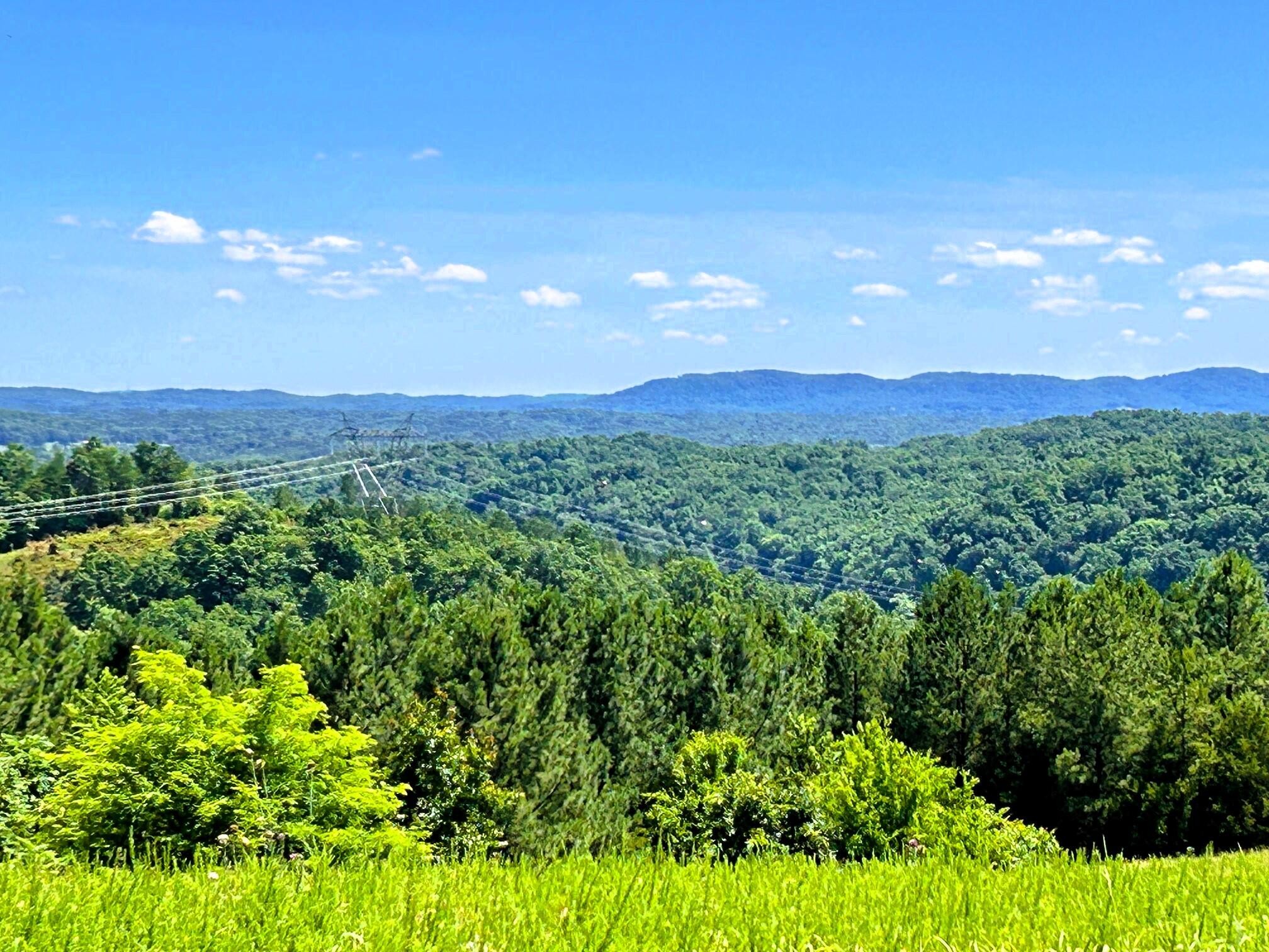 0 Charles Road Decatur, TN 37322 - Photo 39 of 61 a view of a city with lush green forest