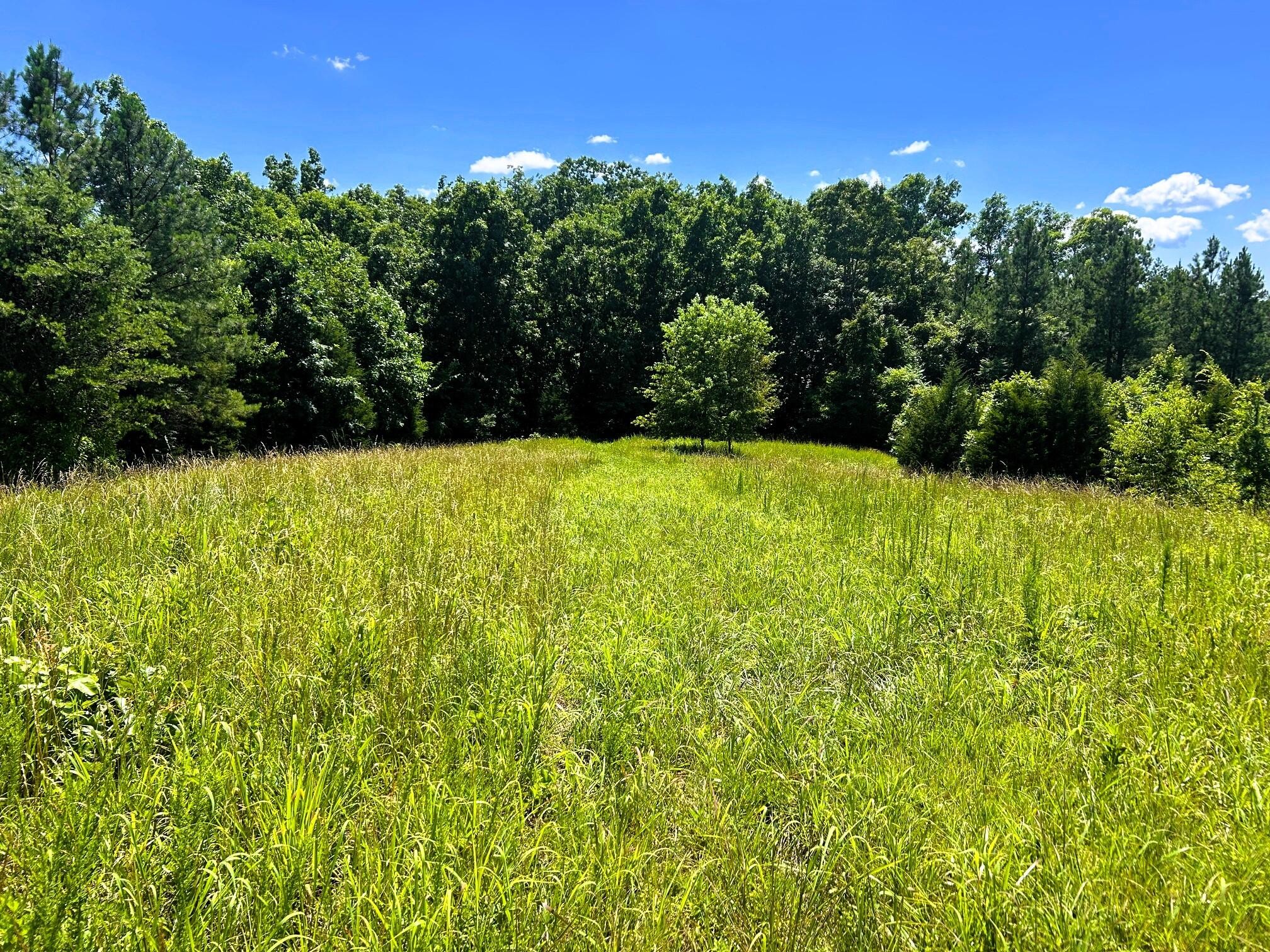 0 Charles Road Decatur, TN 37322 - Photo 5 of 61 a view of an outdoor space with a lake view