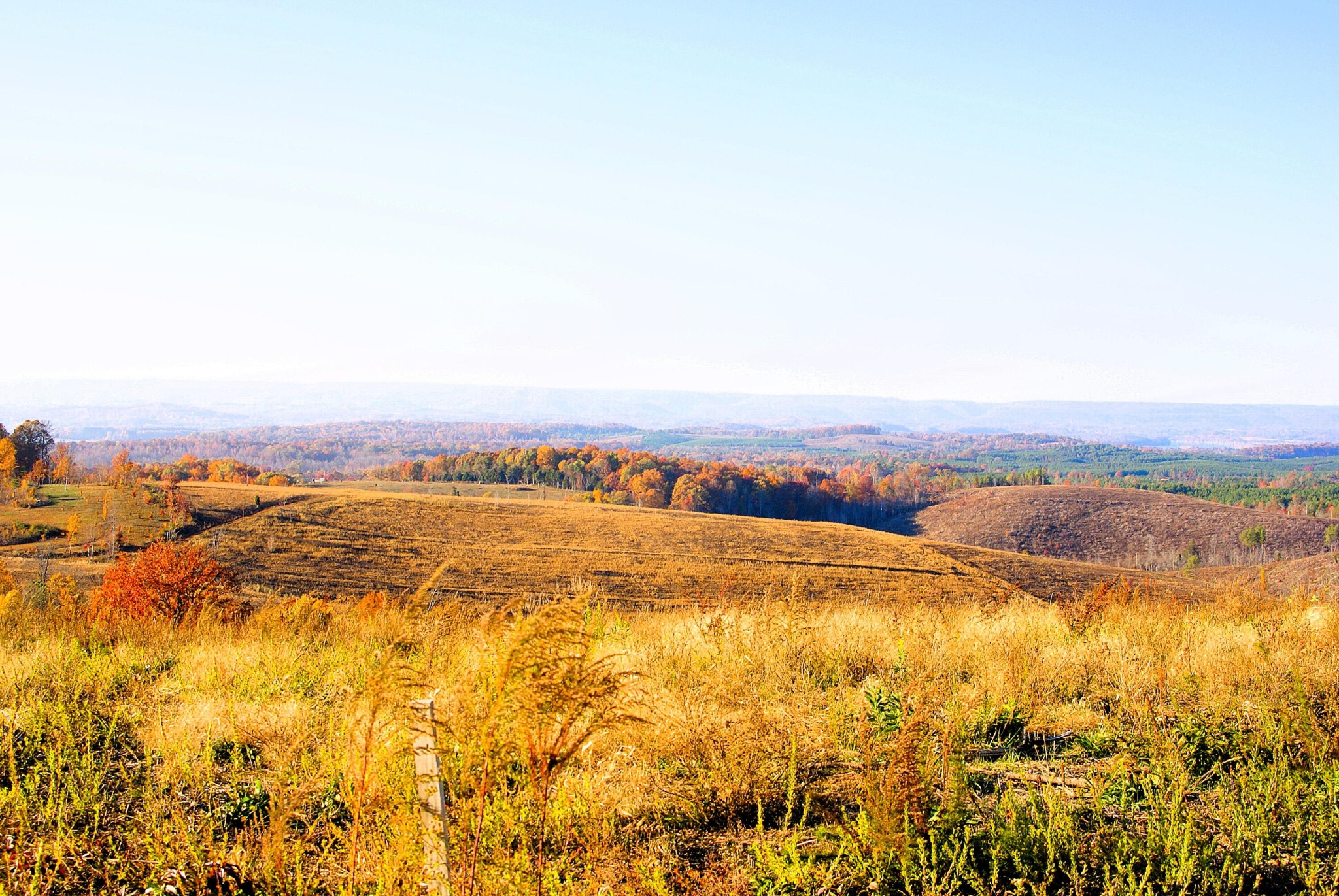0 Charles Road Decatur, TN 37322 - Photo 53 of 61 a view of an ocean