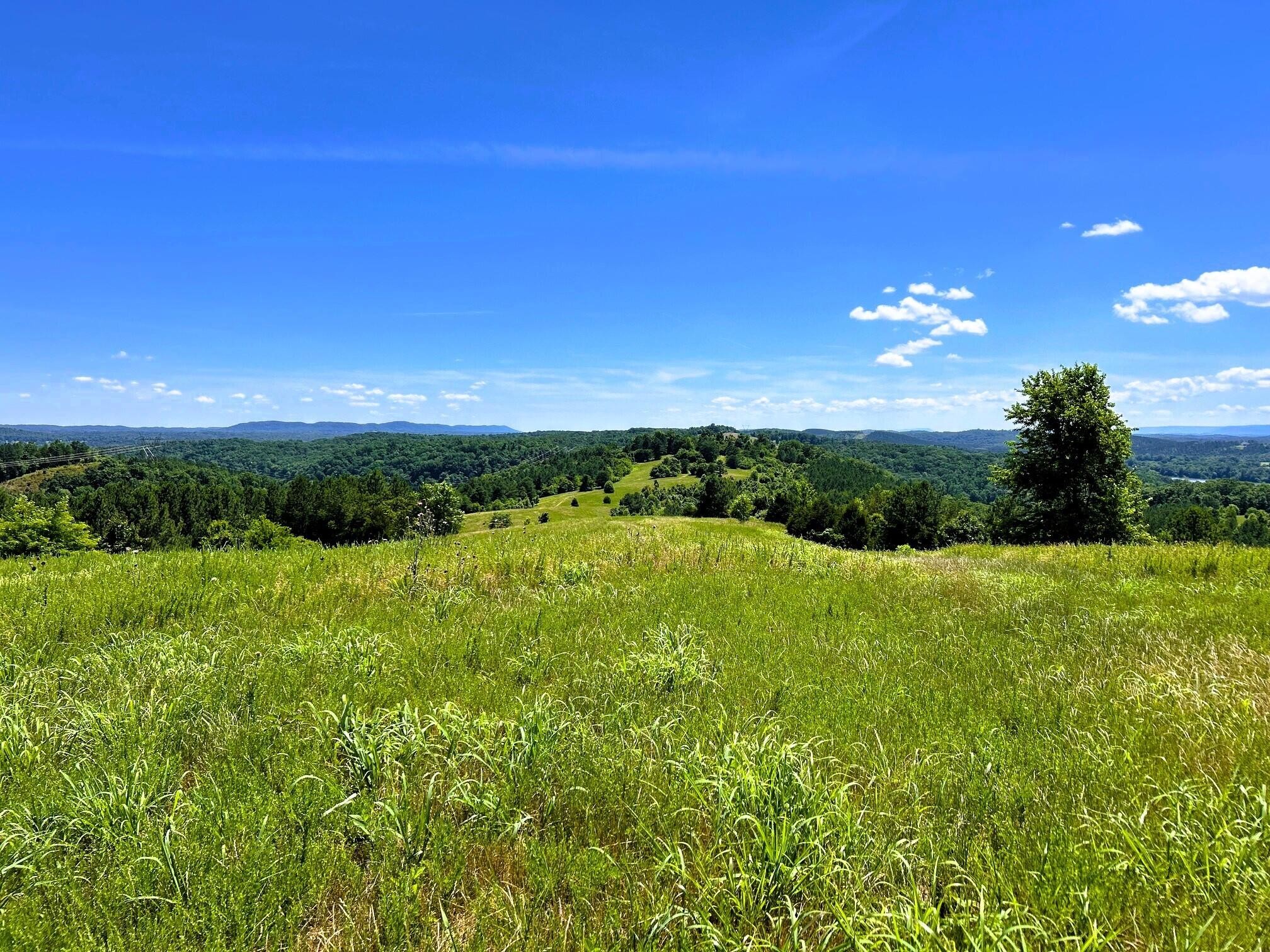 0 Charles Road Decatur, TN 37322 - Photo 61 of 61 a view of a big yard with an outdoor space and seating