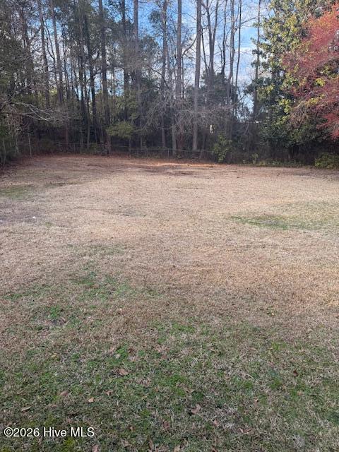 1907 Anthony Avenue Rockingham, NC 28379 - Photo 16 of 19 IMG_1335