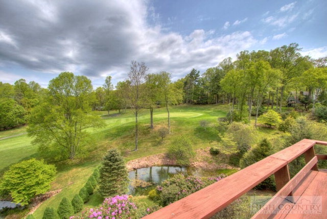 820 Country Club Road Glade Valley, NC 28627 - Photo 25 of 38 Gallery Image 25