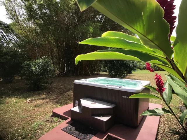 a view of a patio with table and chairs and potted plants