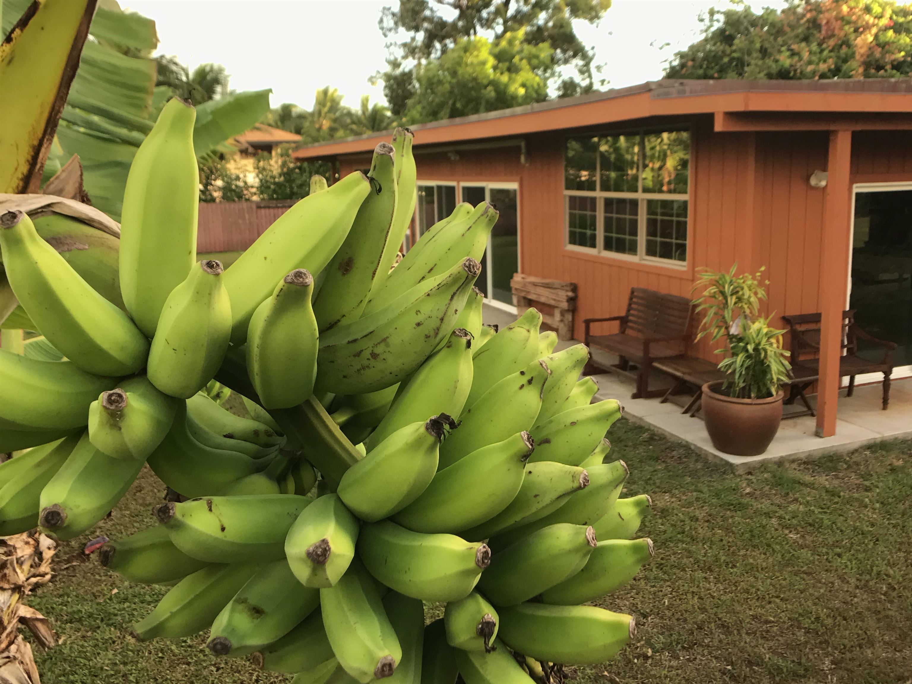 107 West Kuiaha Road Haiku, HI 96708 - Photo 37 of 49 a view of a house with wooden walls and flower plants