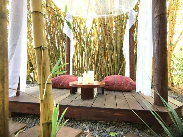 a view of outdoor space and yard