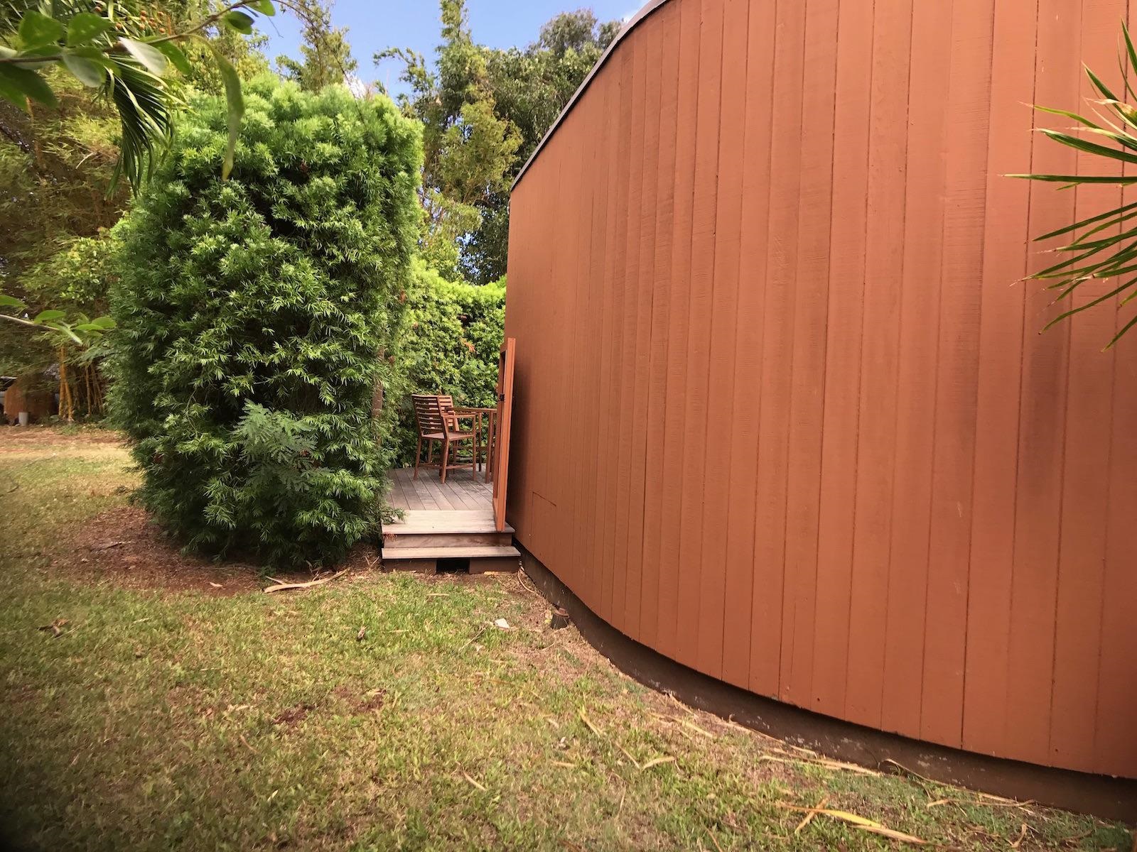 107 West Kuiaha Road Haiku, HI 96708 - Photo 44 of 49 a view of backyard with plants and a large tree