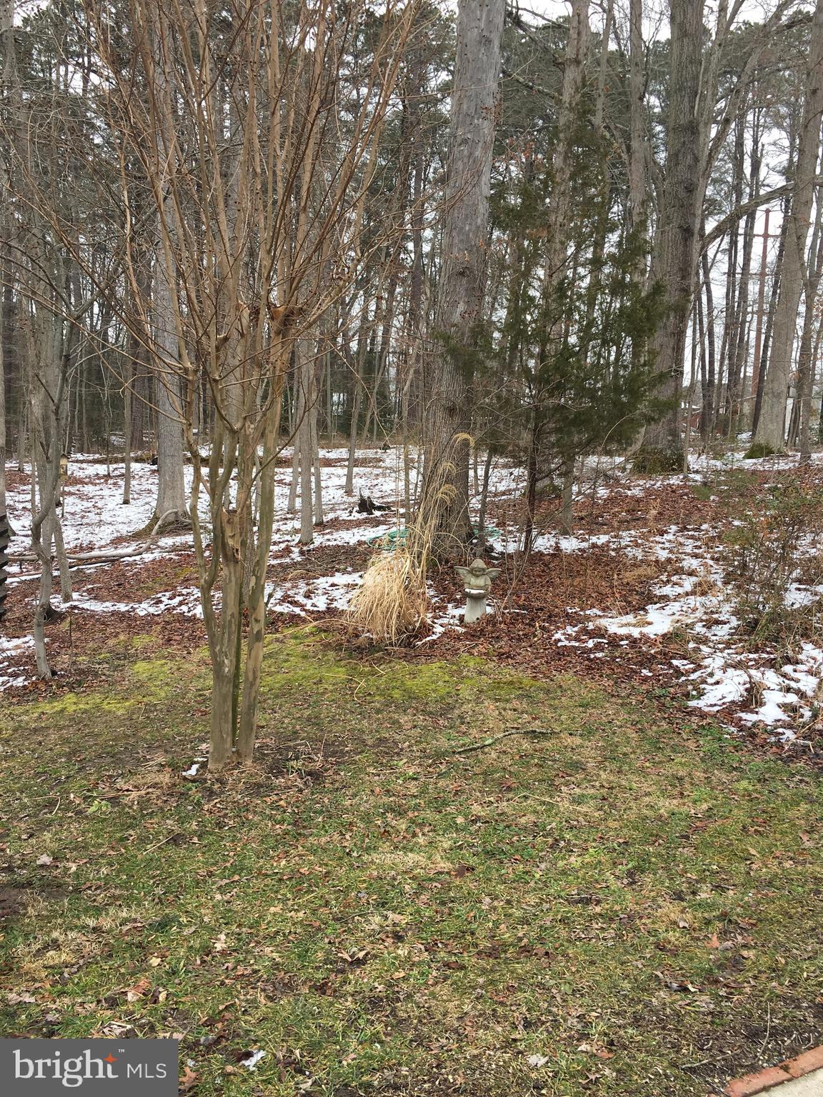 8189 New Cut Road Severn, MD 21144 - Photo 20 of 68 Gallery Image 20