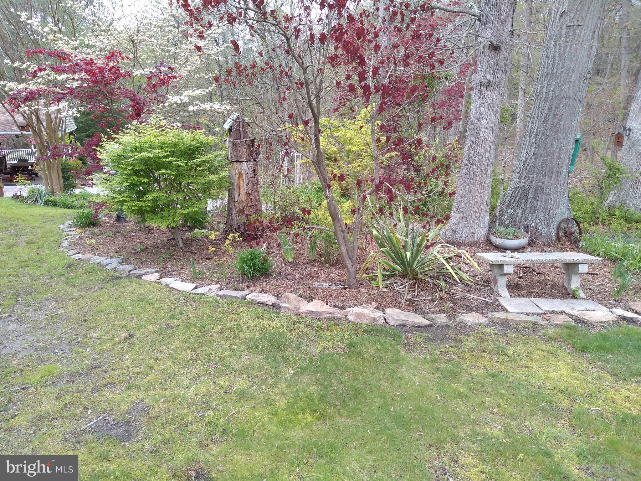 8189 New Cut Road Severn, MD 21144 - Photo 8 of 68 Gallery Image 8