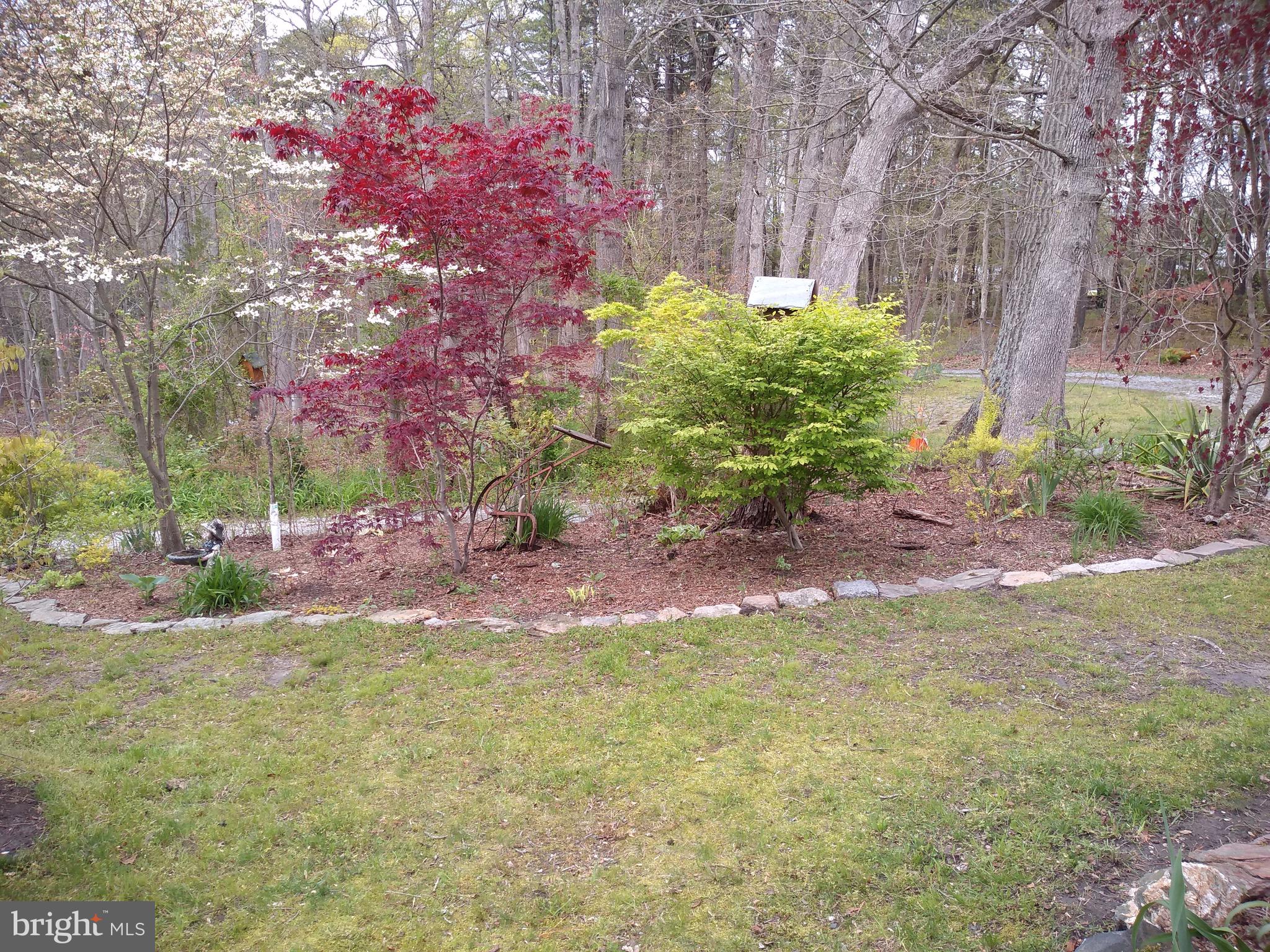 8189 New Cut Road Severn, MD 21144 - Photo 9 of 68 Gallery Image 9