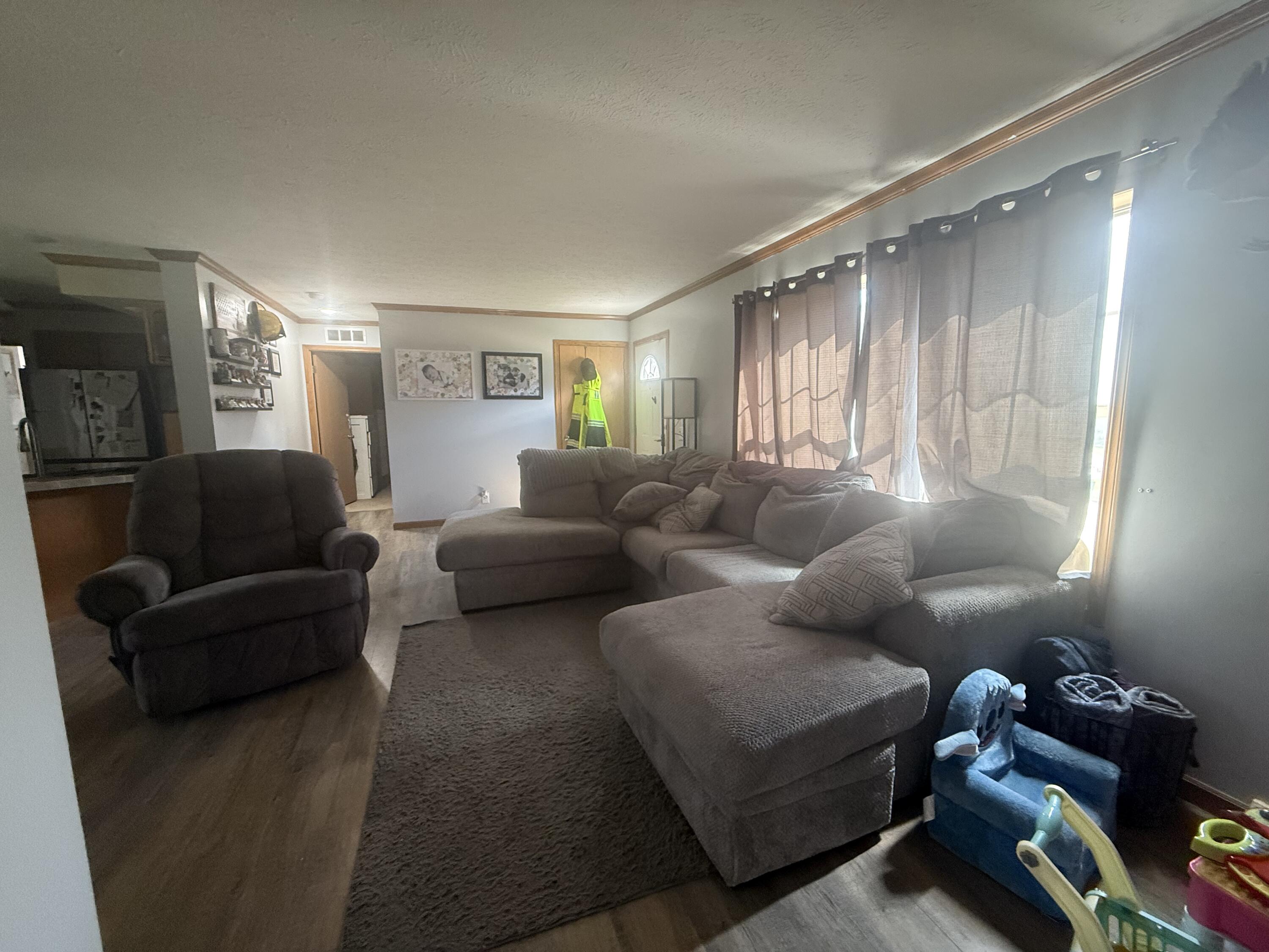 460 Ellsworth Street Bellevue, MI 49021 - Photo 26 of 38 IMG_3580