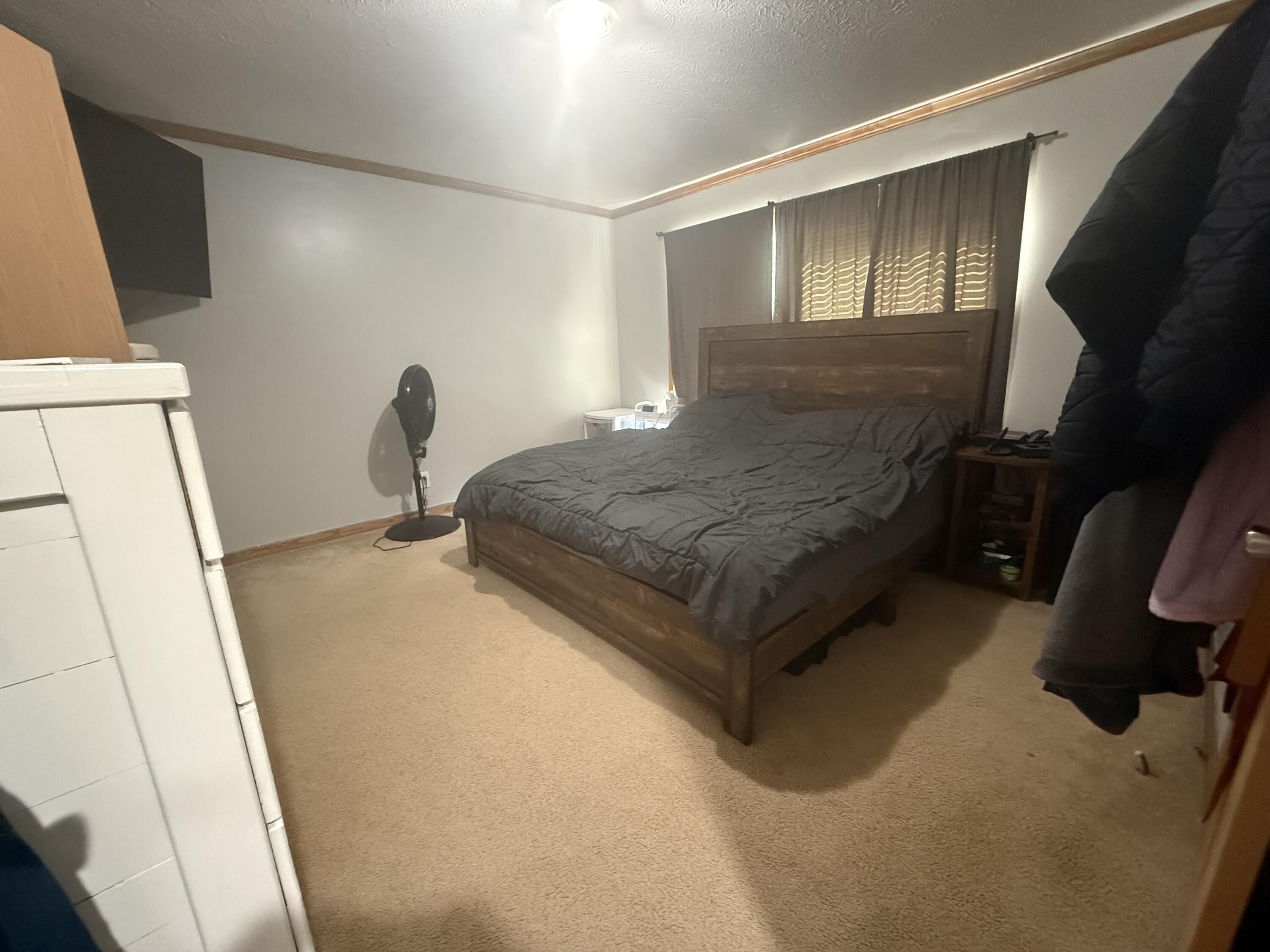 460 Ellsworth Street Bellevue, MI 49021 - Photo 28 of 38 IMG_3586