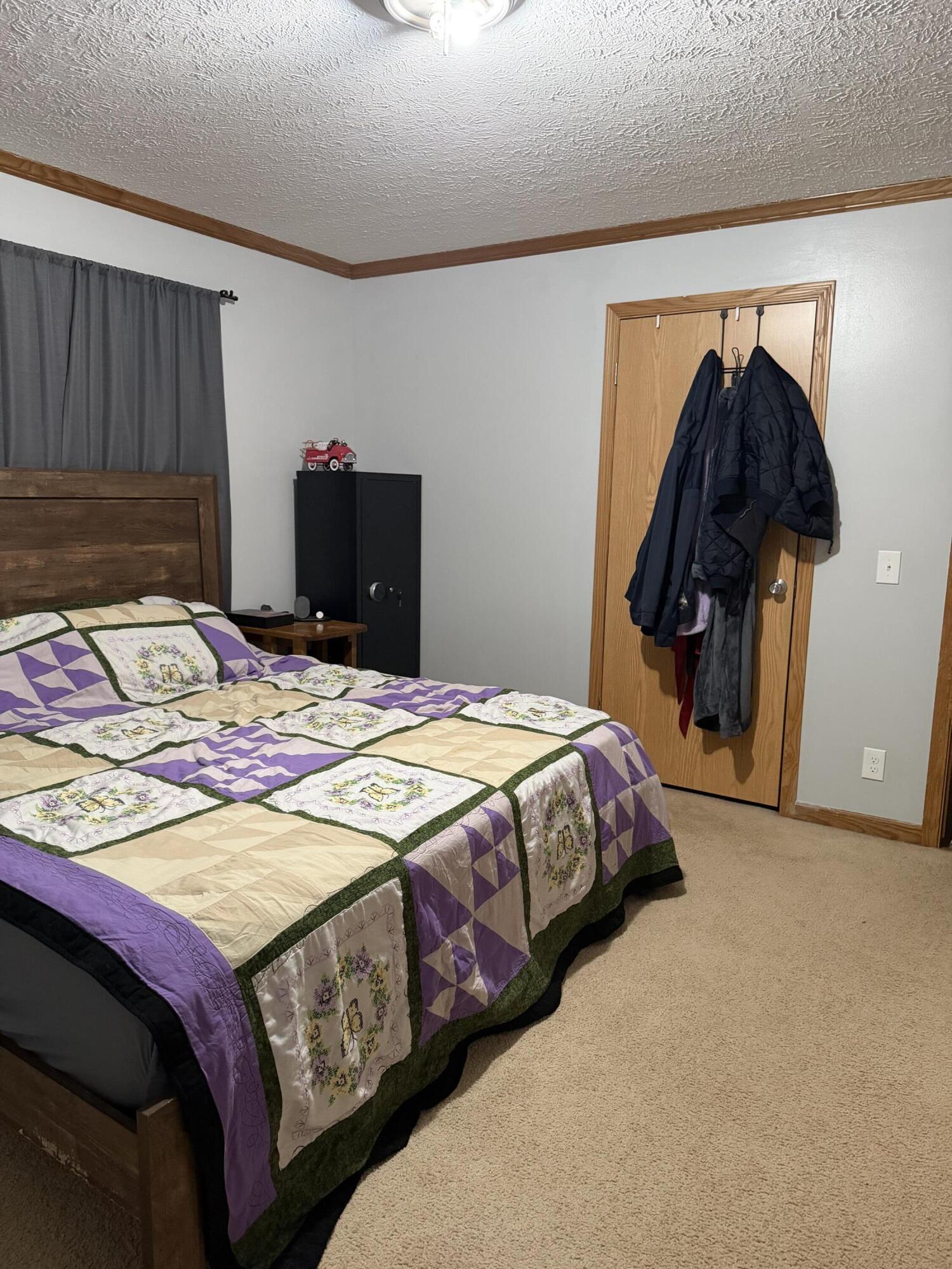 460 Ellsworth Street Bellevue, MI 49021 - Photo 29 of 38 IMG_1994