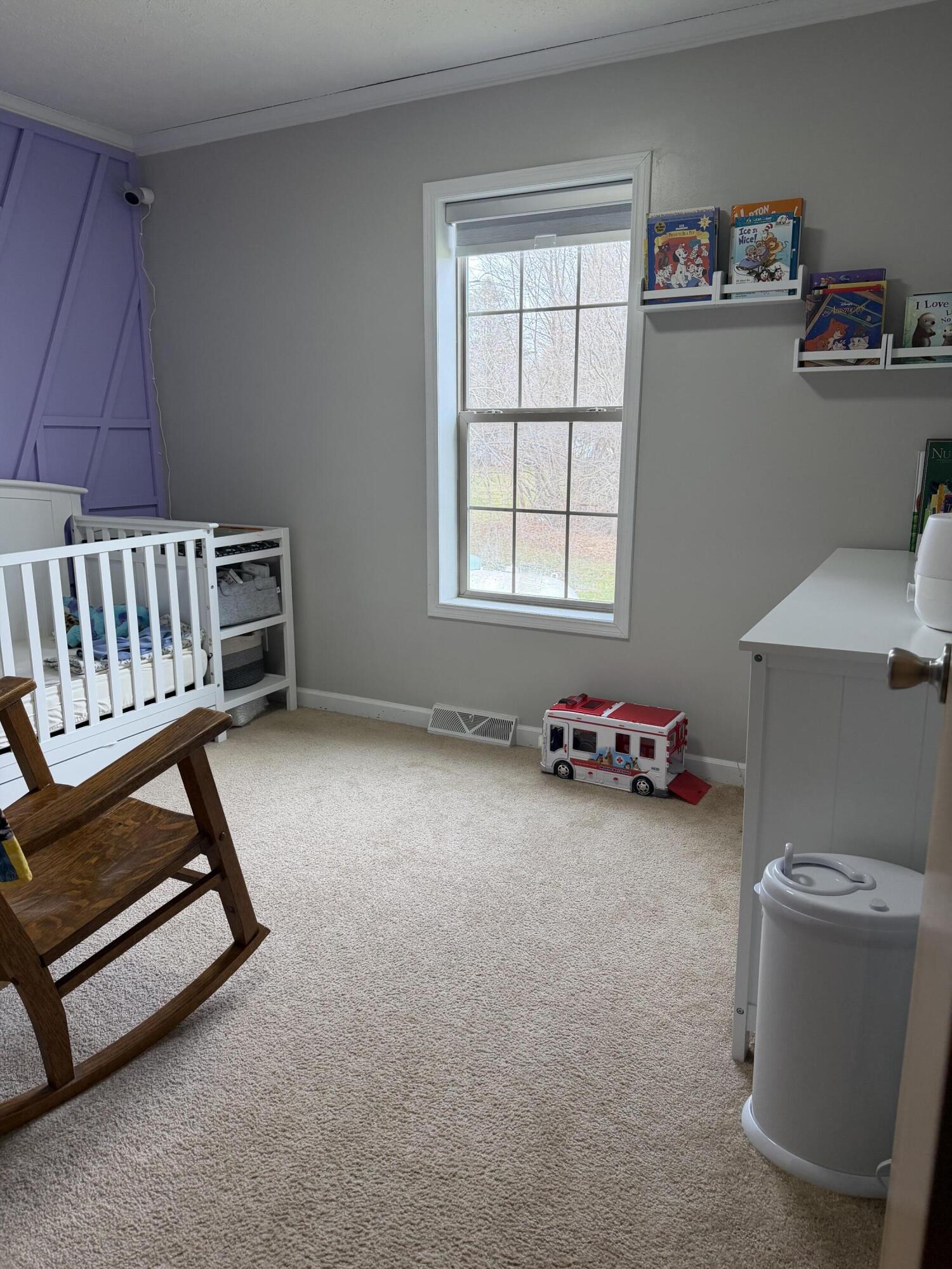 460 Ellsworth Street Bellevue, MI 49021 - Photo 31 of 38 IMG_1962