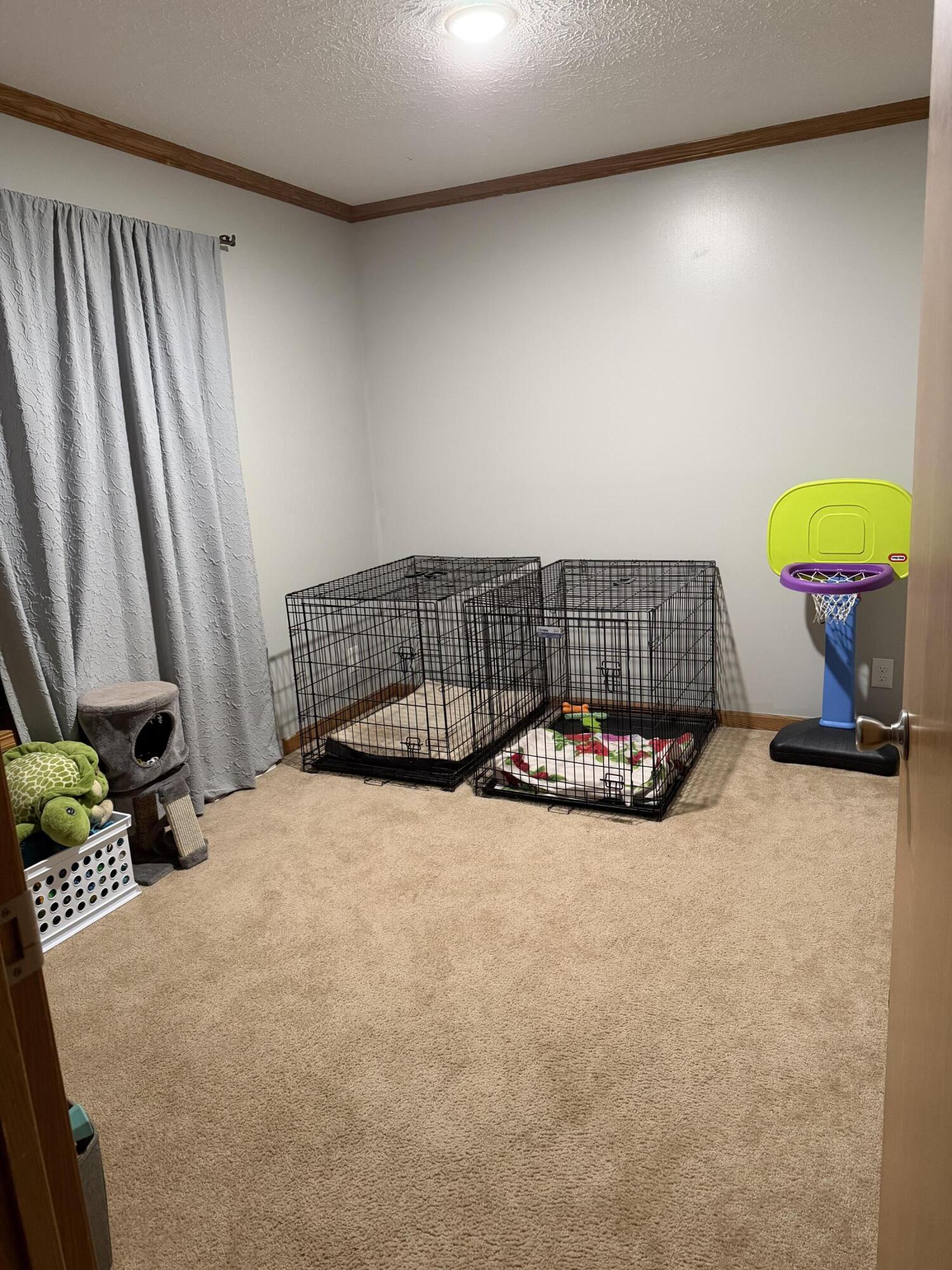 460 Ellsworth Street Bellevue, MI 49021 - Photo 32 of 38 IMG_1988