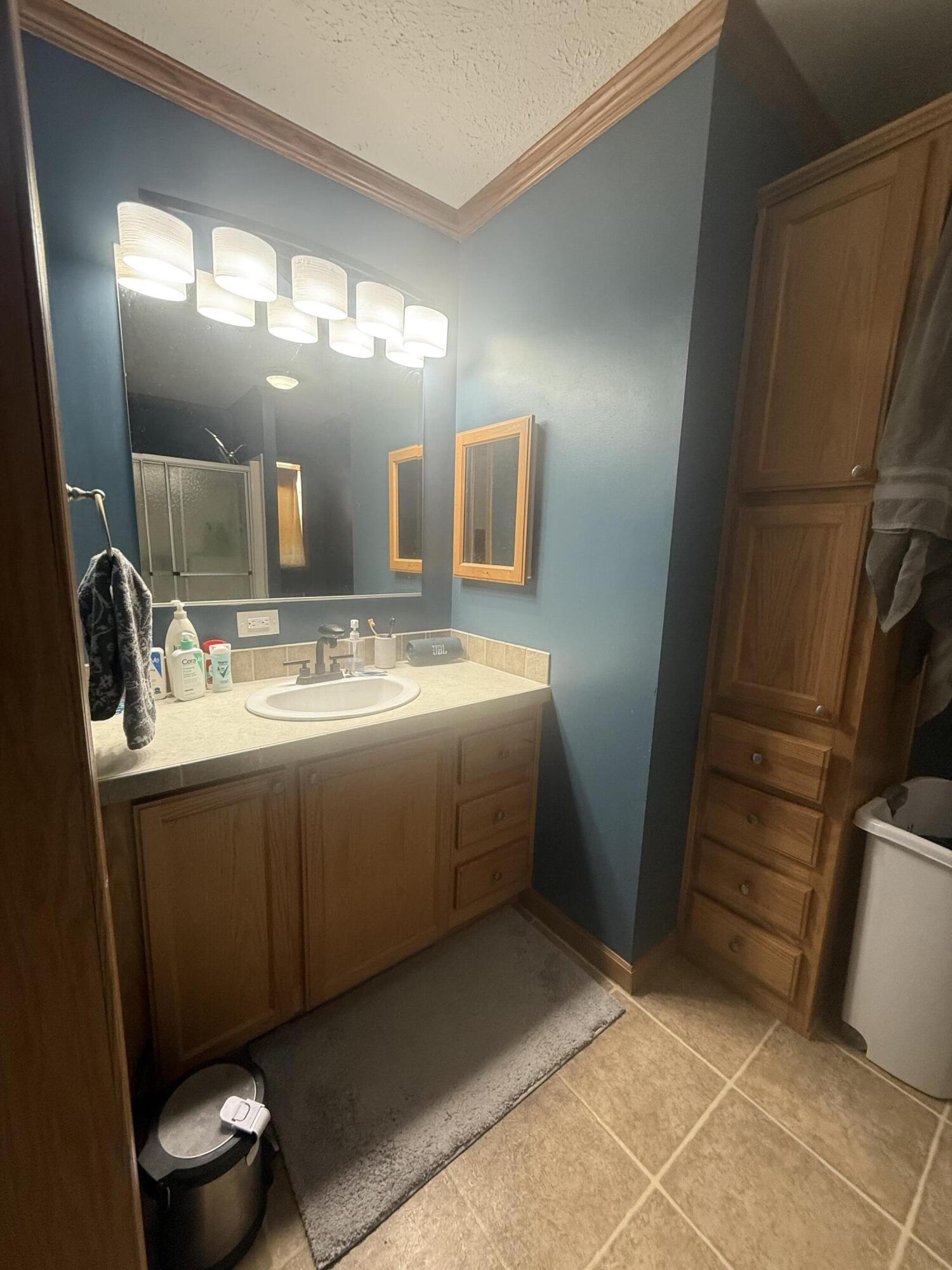 460 Ellsworth Street Bellevue, MI 49021 - Photo 33 of 38 IMG_3587