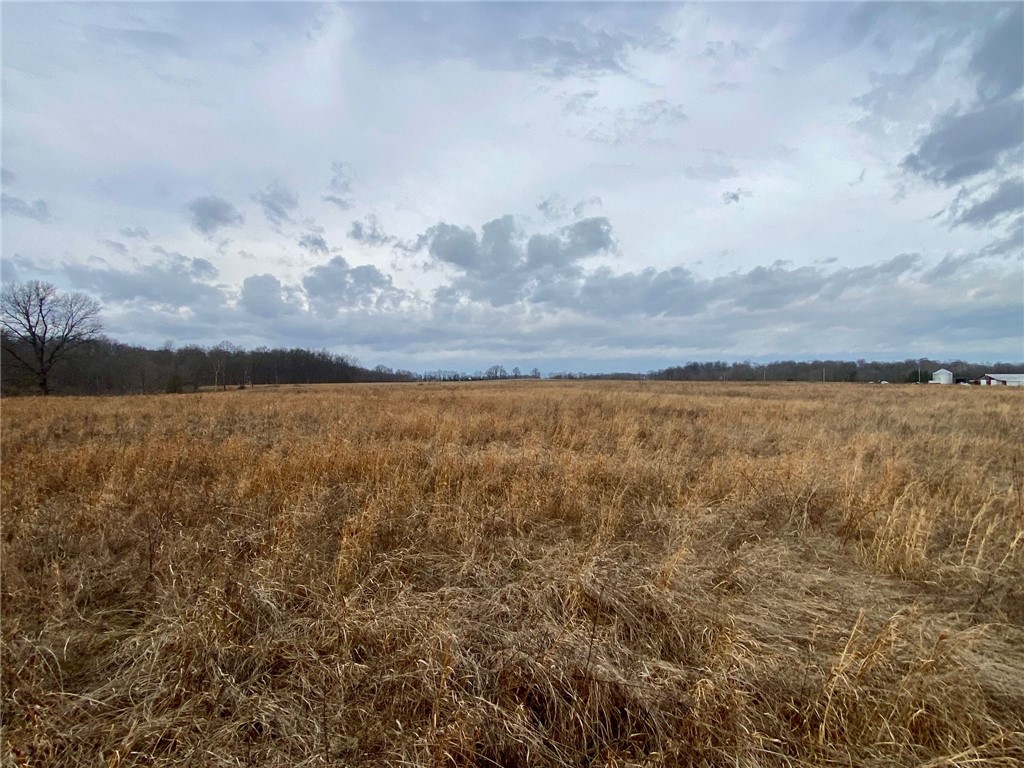 77 Wildcat Road Winchester, OH 45697 - Photo 7 of 19 Expansive open land offers clear skies and distant tree lines, ideal for new beginnings.