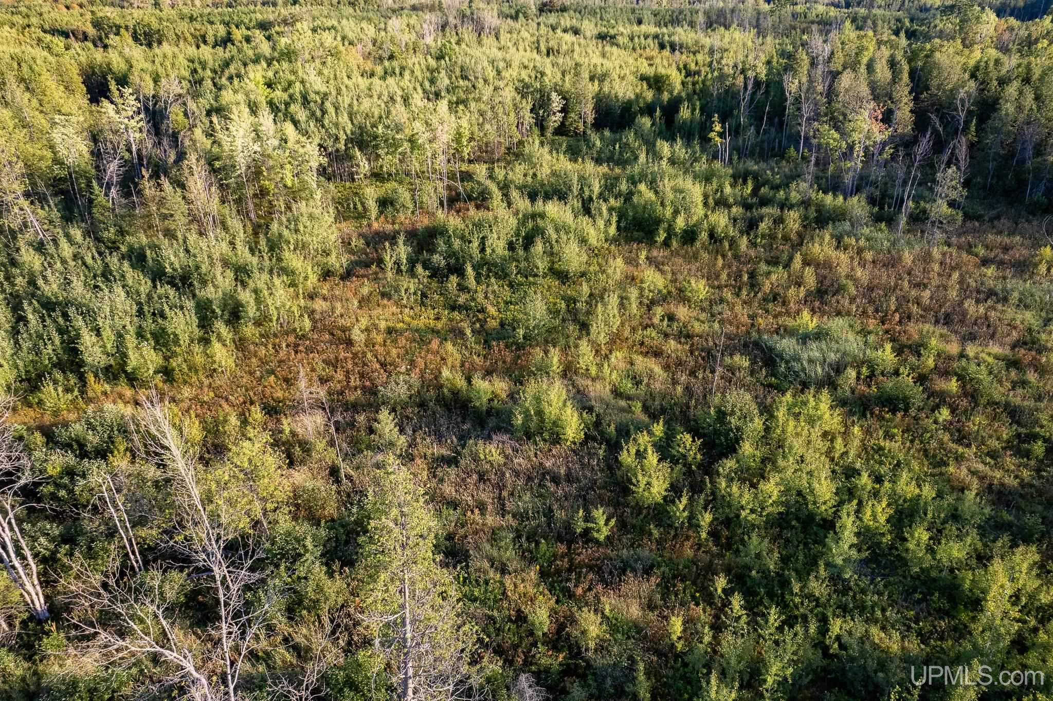 Tbd 19th Lane Escanaba, MI 49829 - Photo 4 of 16