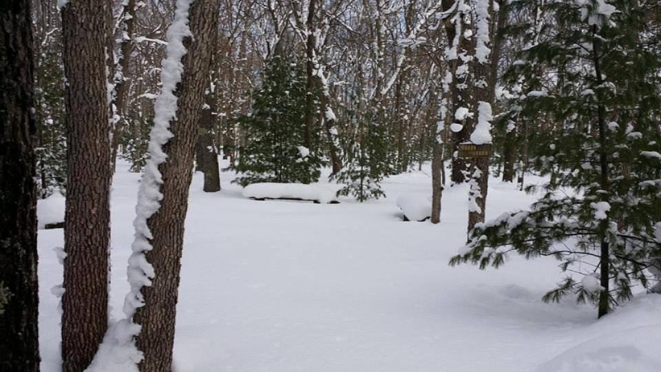 3829 Stronach Road Manistee, MI 49660 - Photo 3 of 21 11262433_10203895308524564_5092442684288