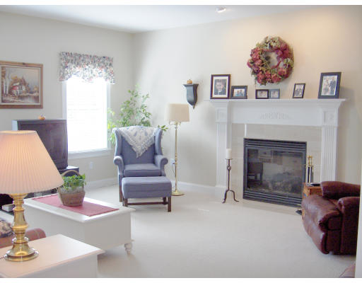 18 Symonds Way Reading, MA 01867 - Photo 7 of 26 a living room with furniture and a fireplace