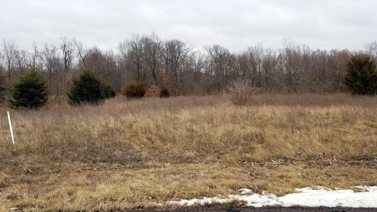 0 Timberhill Parcel N Manchester, MI 48158 - Photo 1 of 14 Photo 1