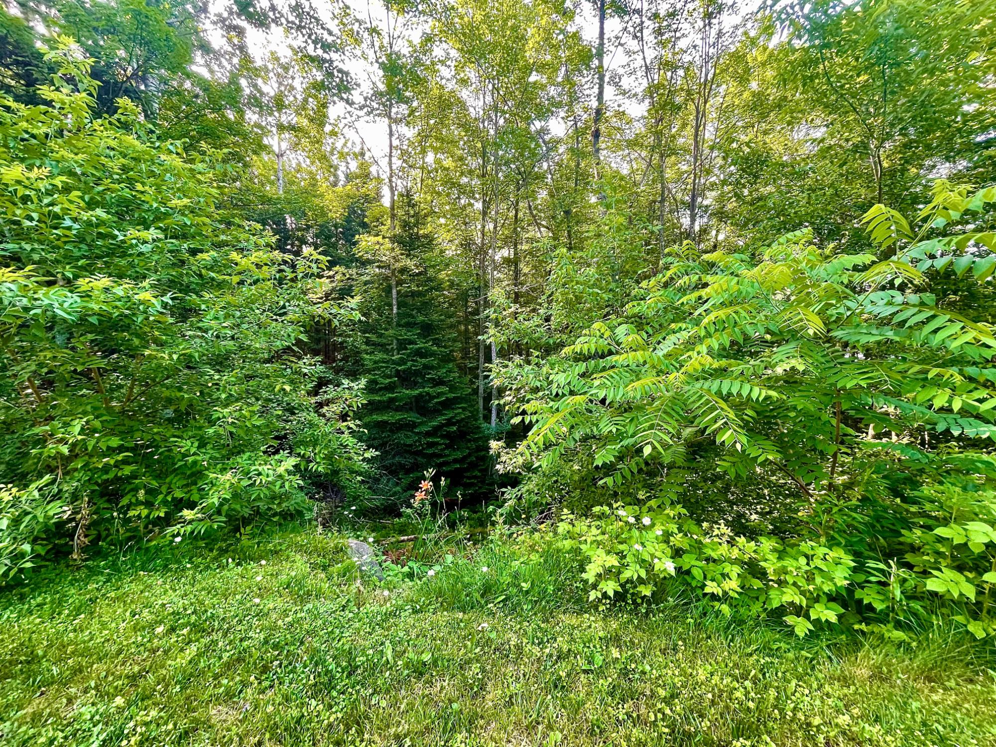 4256 Cth Road Rhinelander, WI 54501 - Photo 54 of 55 Gallery Image 54