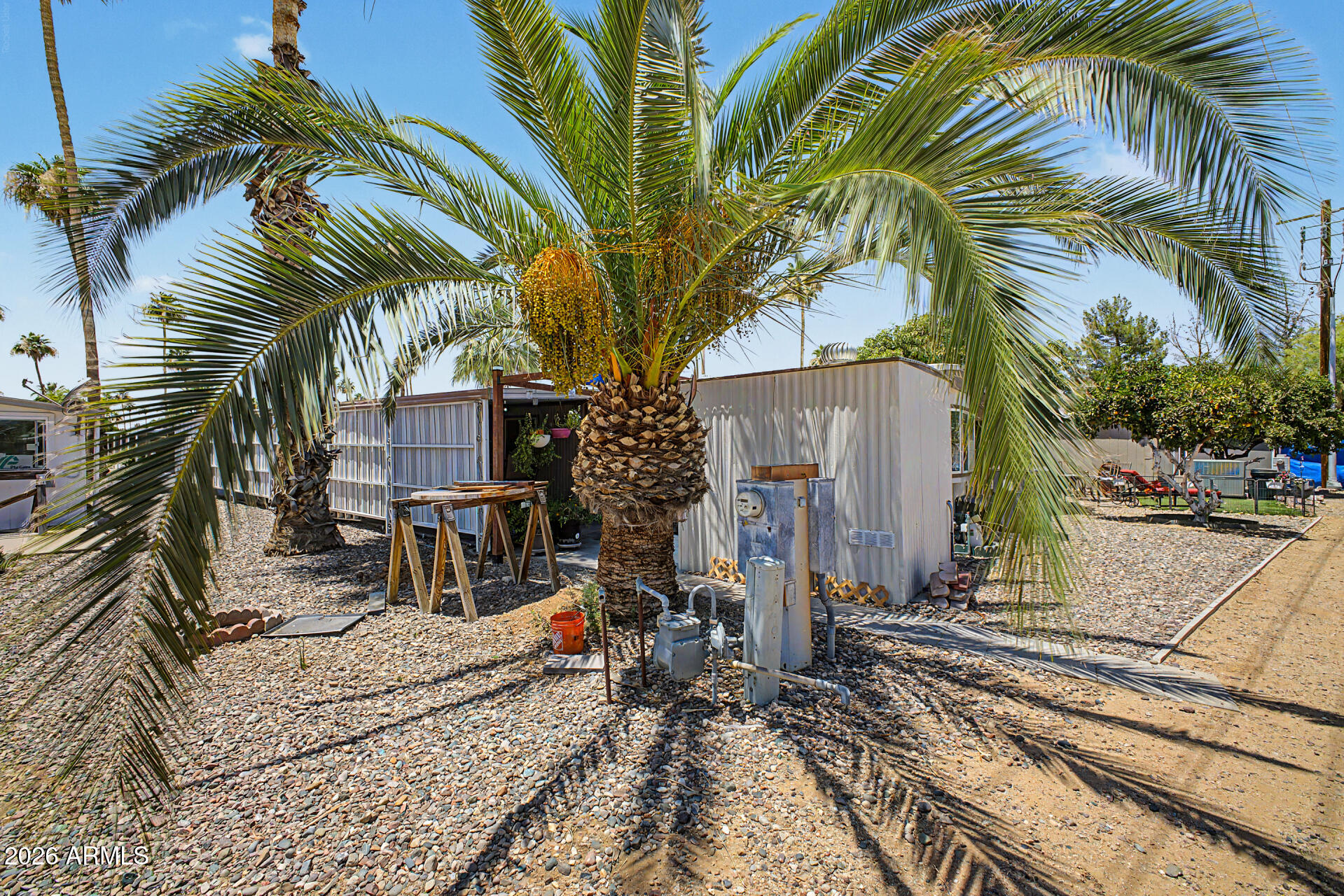 303 South Recker Road, Unit 3 Mesa, AZ 85206 - Photo 29 of 38 Back Yard