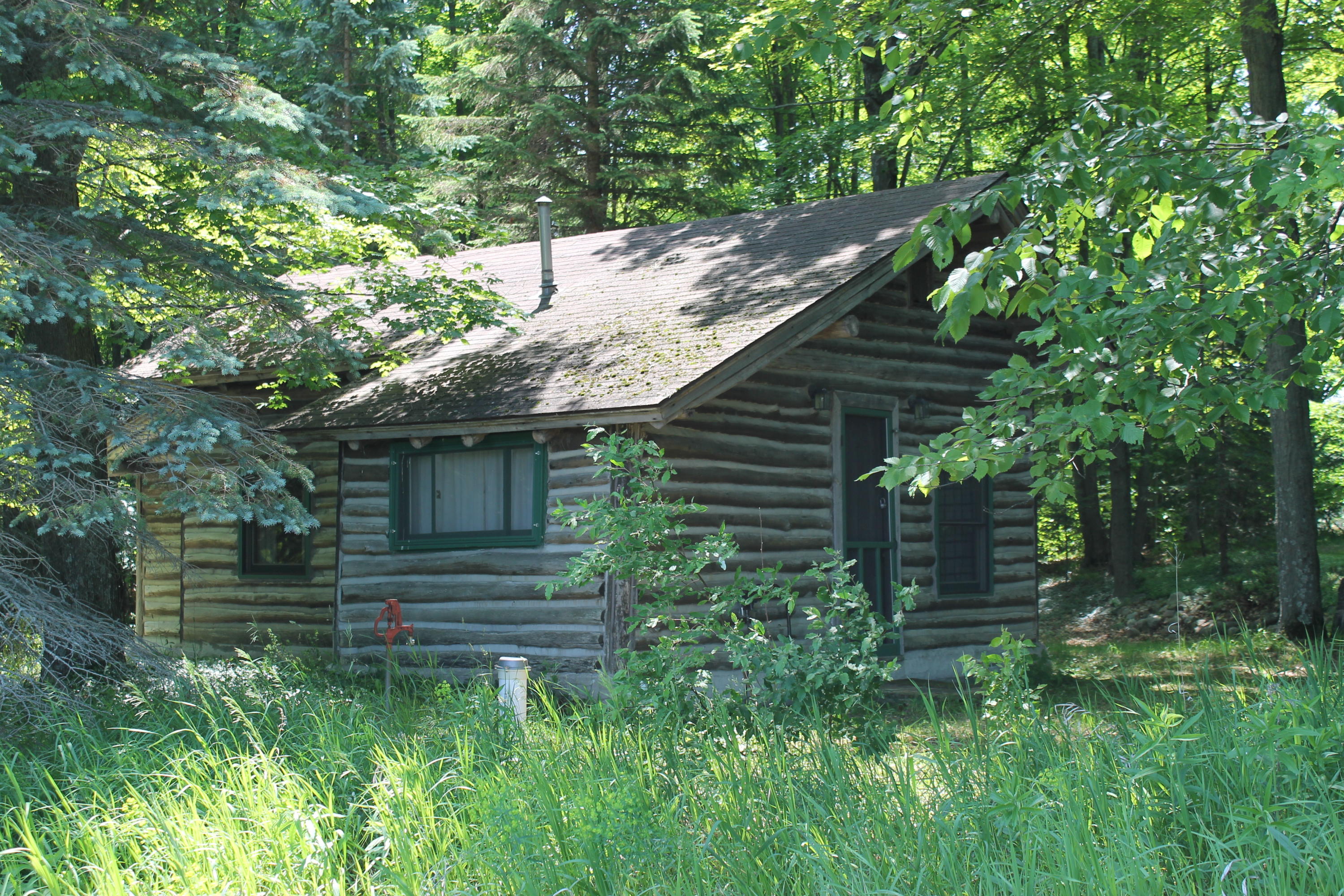 10533 Scott Road Wolverine, MI 49799 - Photo 2 of 30 Gallery Image 2